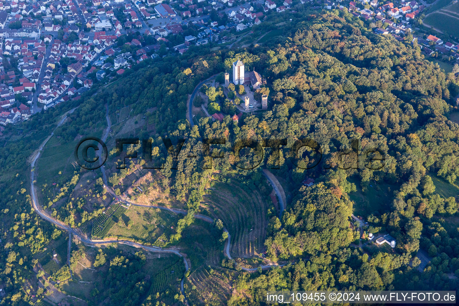 Vue aérienne de Starkenburg à Heppenheim dans le département Hesse, Allemagne