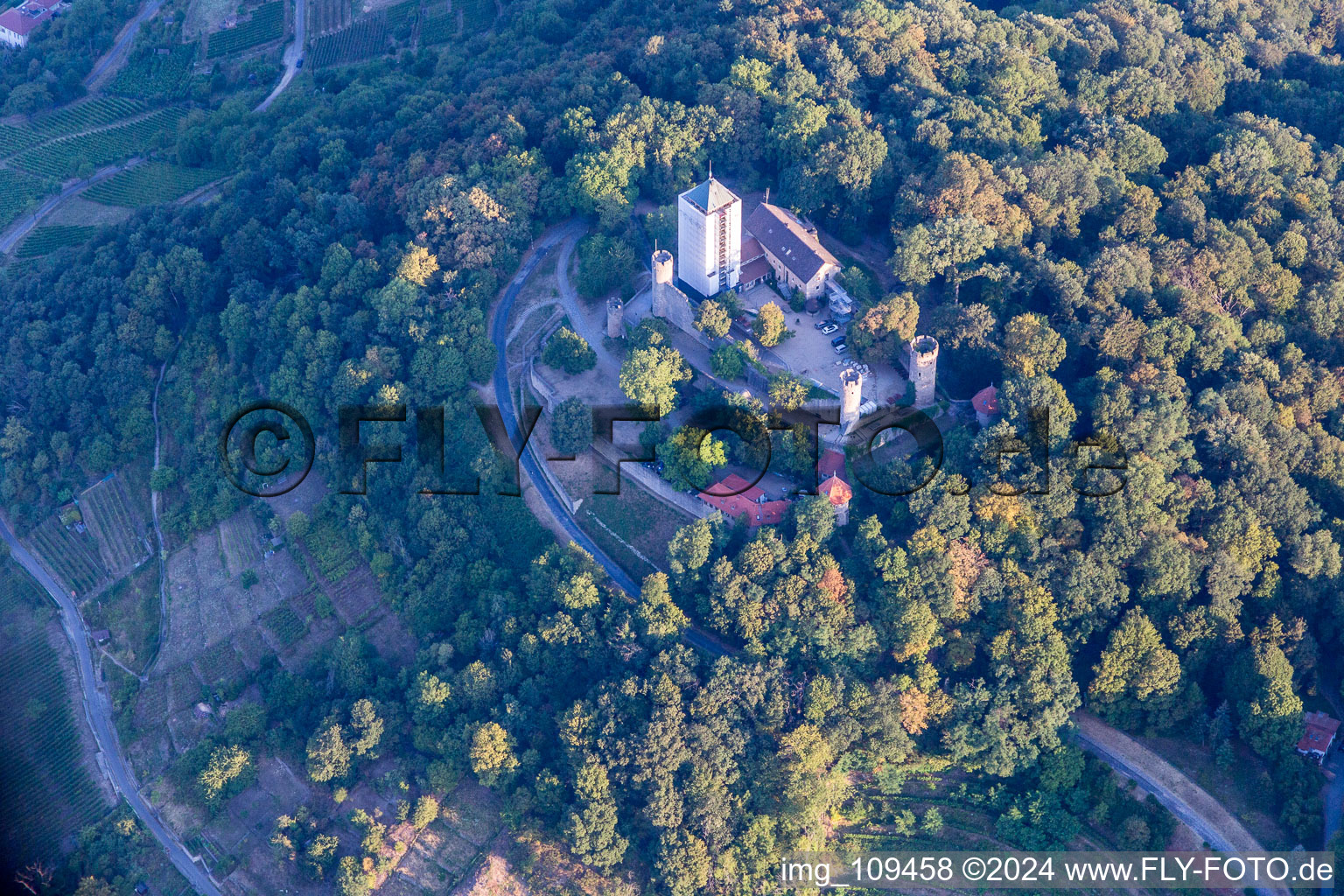 Vue aérienne de Starkenburg à Heppenheim dans le département Hesse, Allemagne