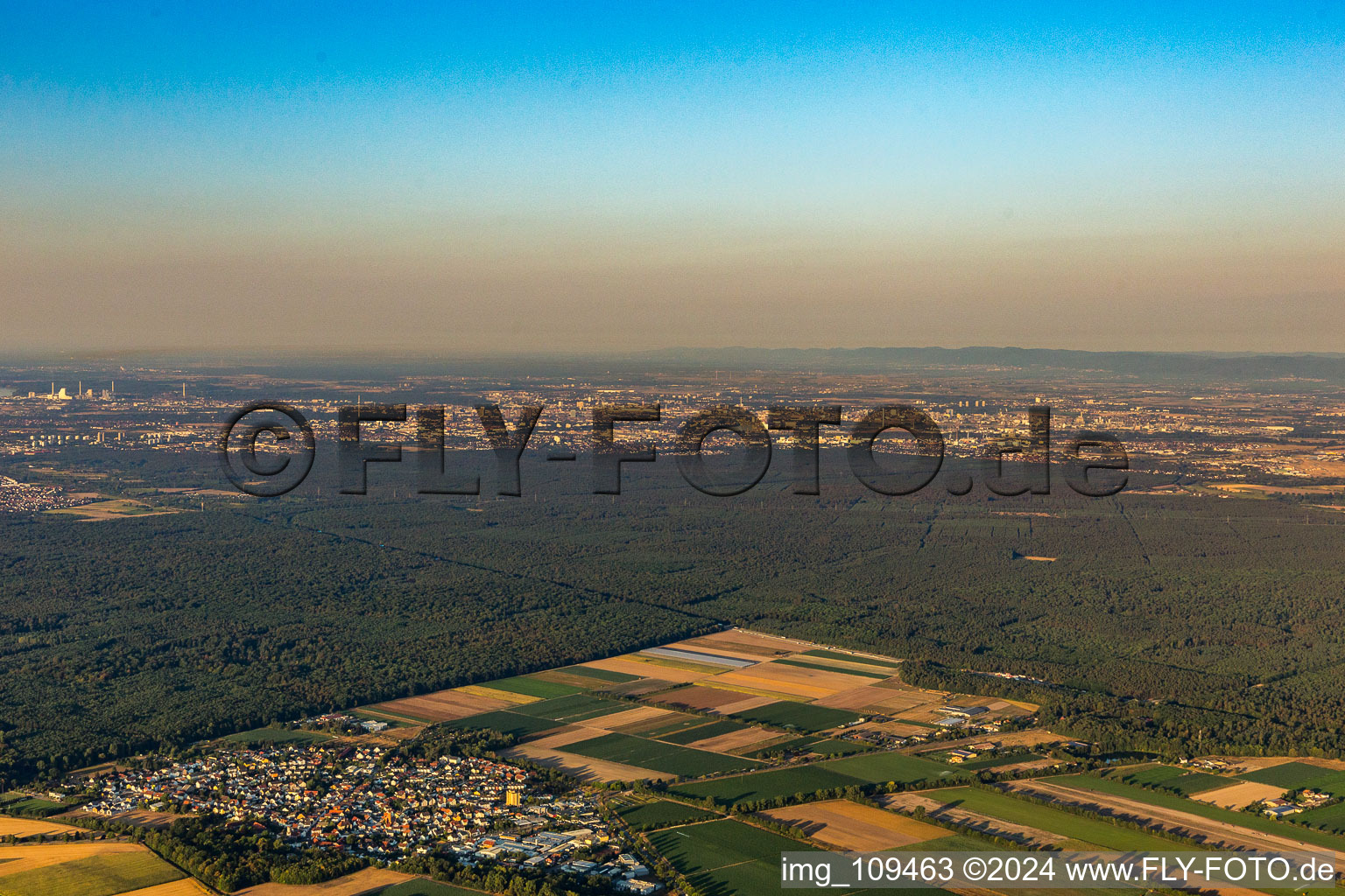 Vue aérienne de À la Forêt de Viernheim à le quartier Hüttenfeld in Lampertheim dans le département Hesse, Allemagne