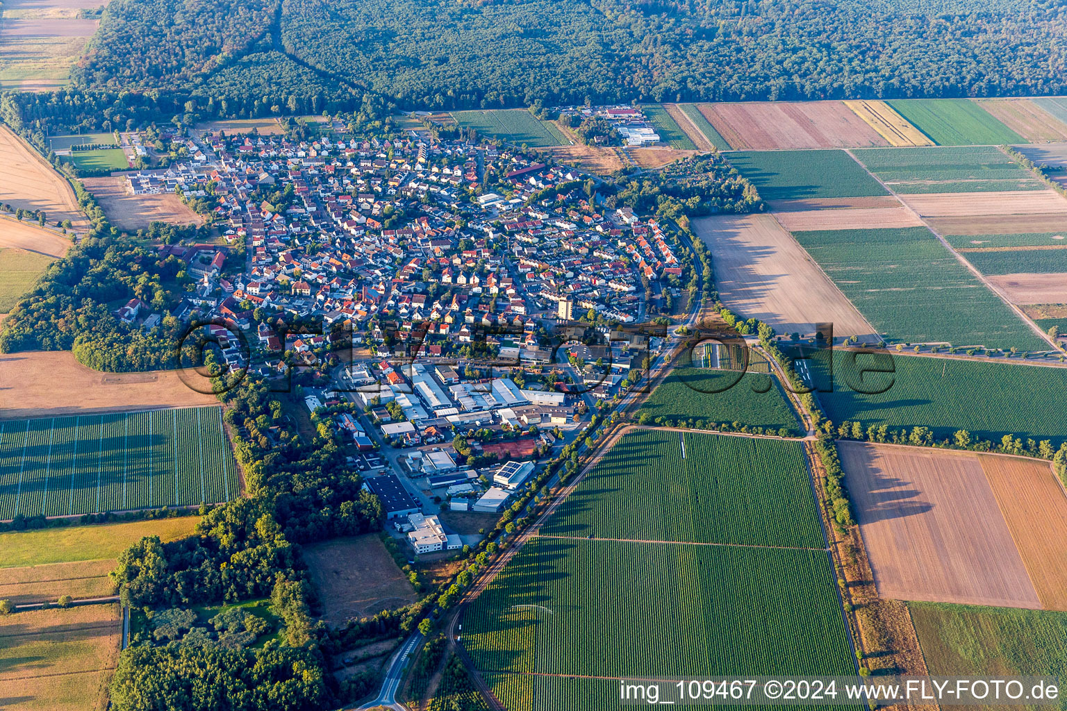 Vue aérienne de Vue de la commune en bordure des champs et zones agricoles en Hüttenfeld à le quartier Hüttenfeld in Lampertheim dans le département Hesse, Allemagne