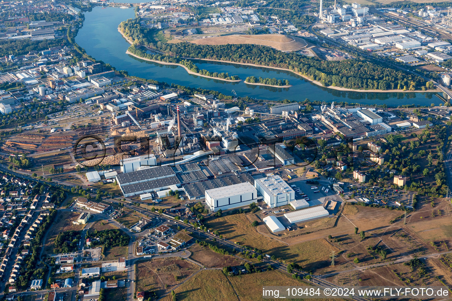 Vue aérienne de Locaux de l'usine de la papeterie Essity Mannheim (ZeWa) à le quartier Sandhofen in Mannheim dans le département Bade-Wurtemberg, Allemagne