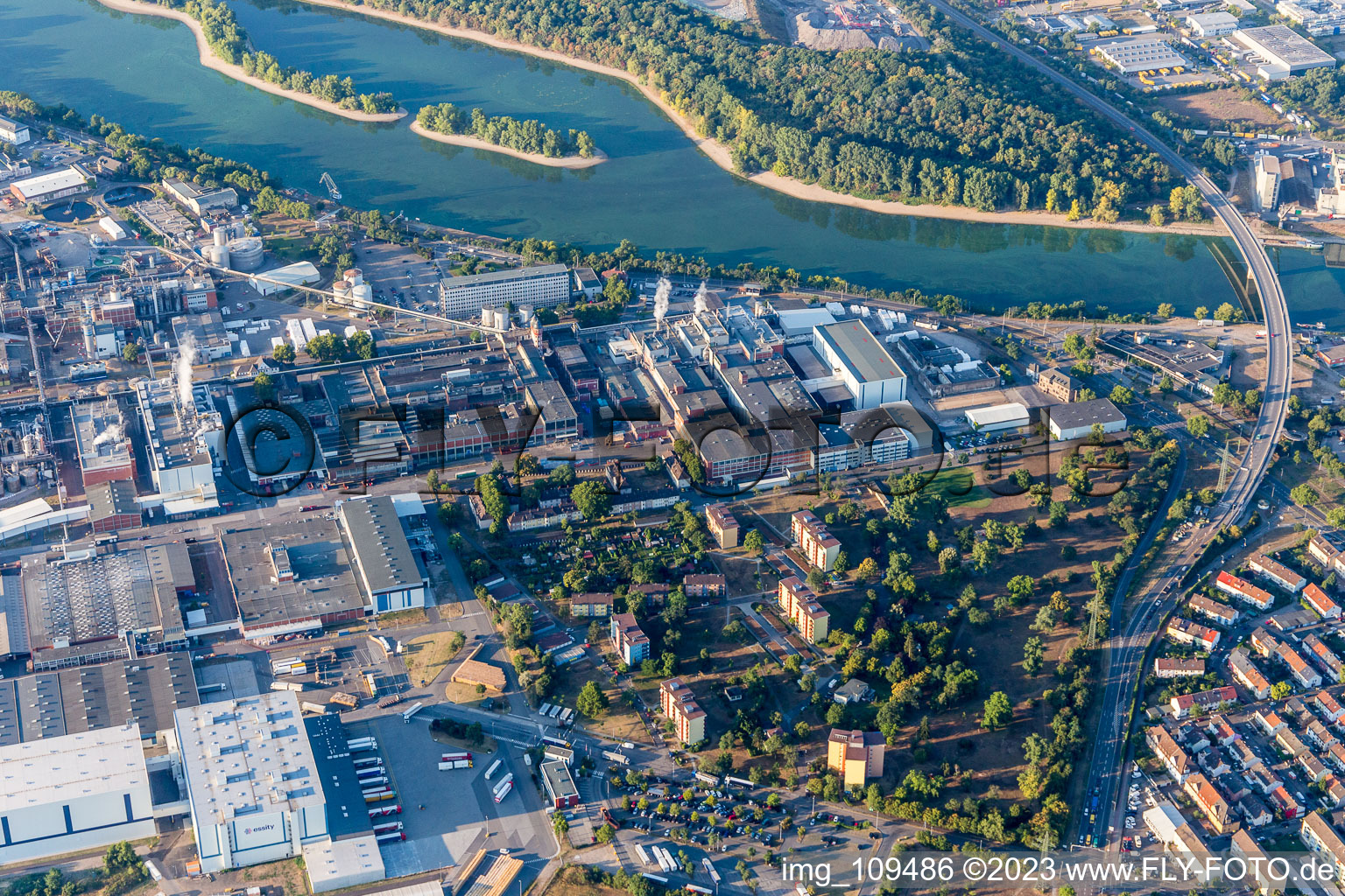 Photographie aérienne de Essité à le quartier Sandhofen in Mannheim dans le département Bade-Wurtemberg, Allemagne