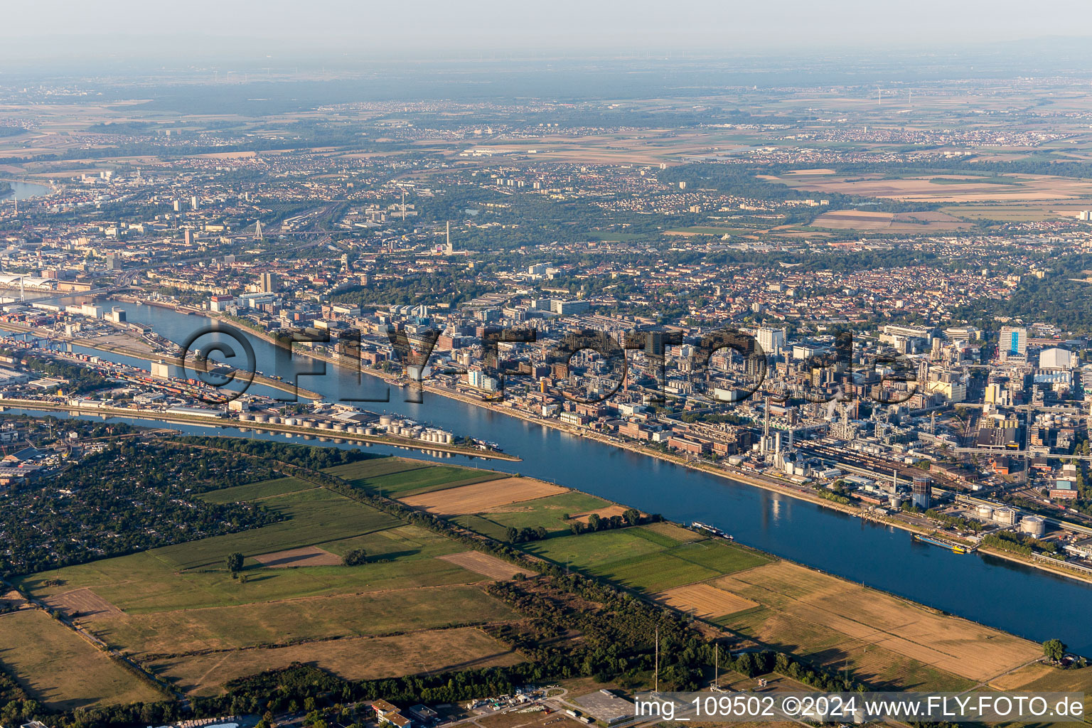 Image drone de Quartier BASF in Ludwigshafen am Rhein dans le département Rhénanie-Palatinat, Allemagne