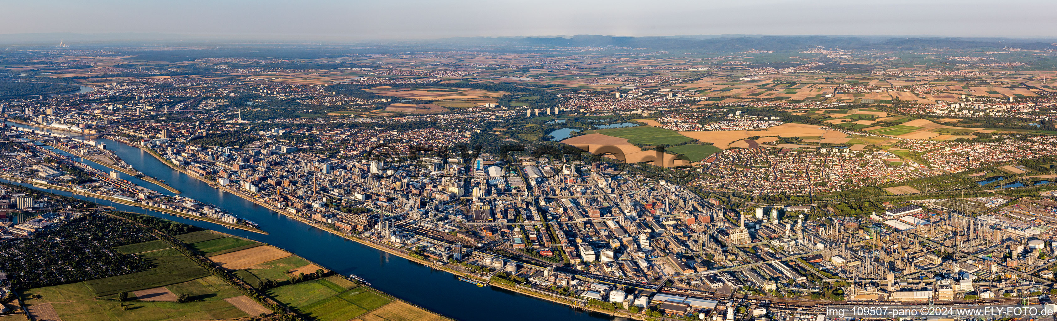 Vue aérienne de Panorama à le quartier BASF in Ludwigshafen am Rhein dans le département Rhénanie-Palatinat, Allemagne