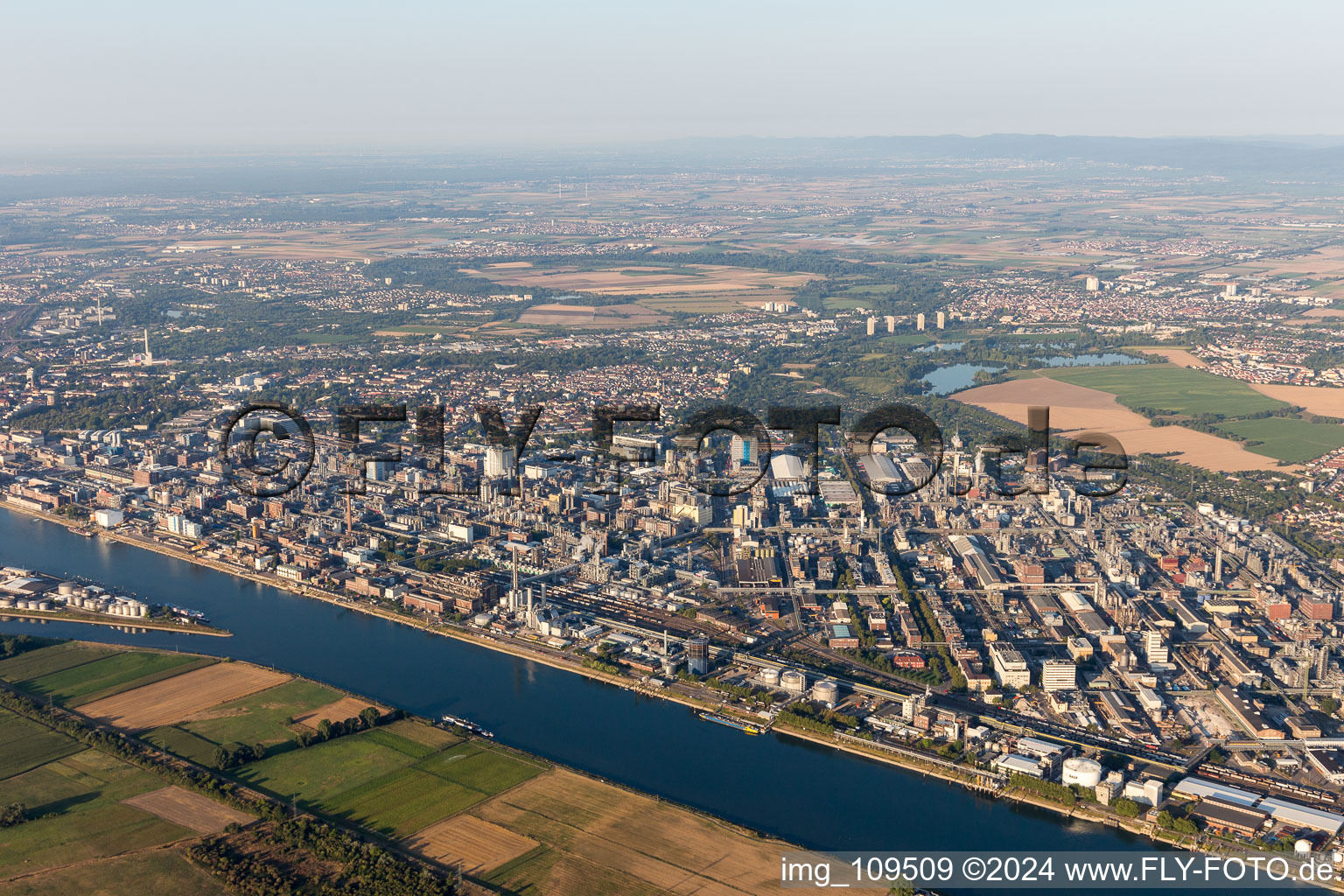 Photographie aérienne de Quartier BASF in Ludwigshafen am Rhein dans le département Rhénanie-Palatinat, Allemagne