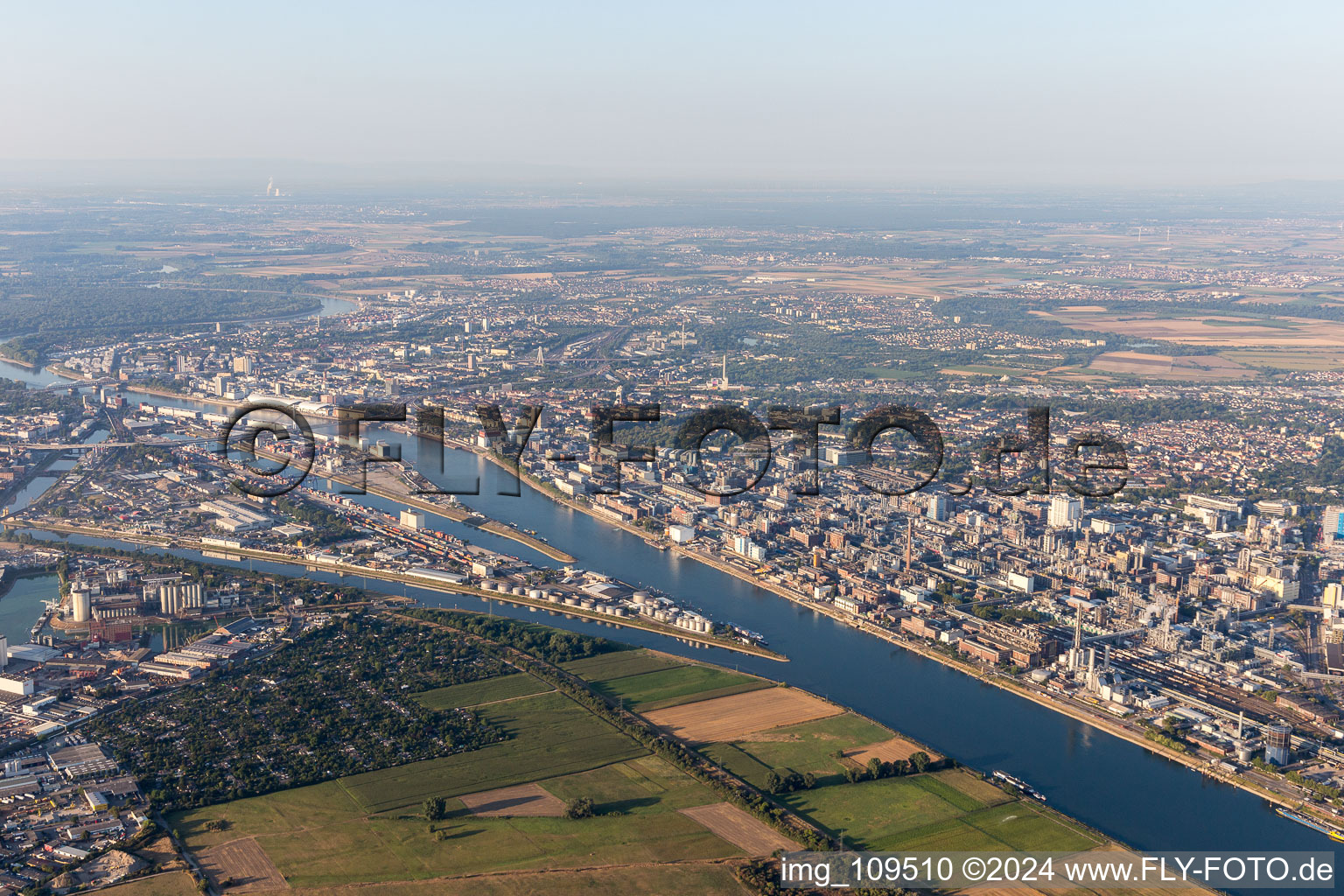 Vue oblique de Quartier BASF in Ludwigshafen am Rhein dans le département Rhénanie-Palatinat, Allemagne