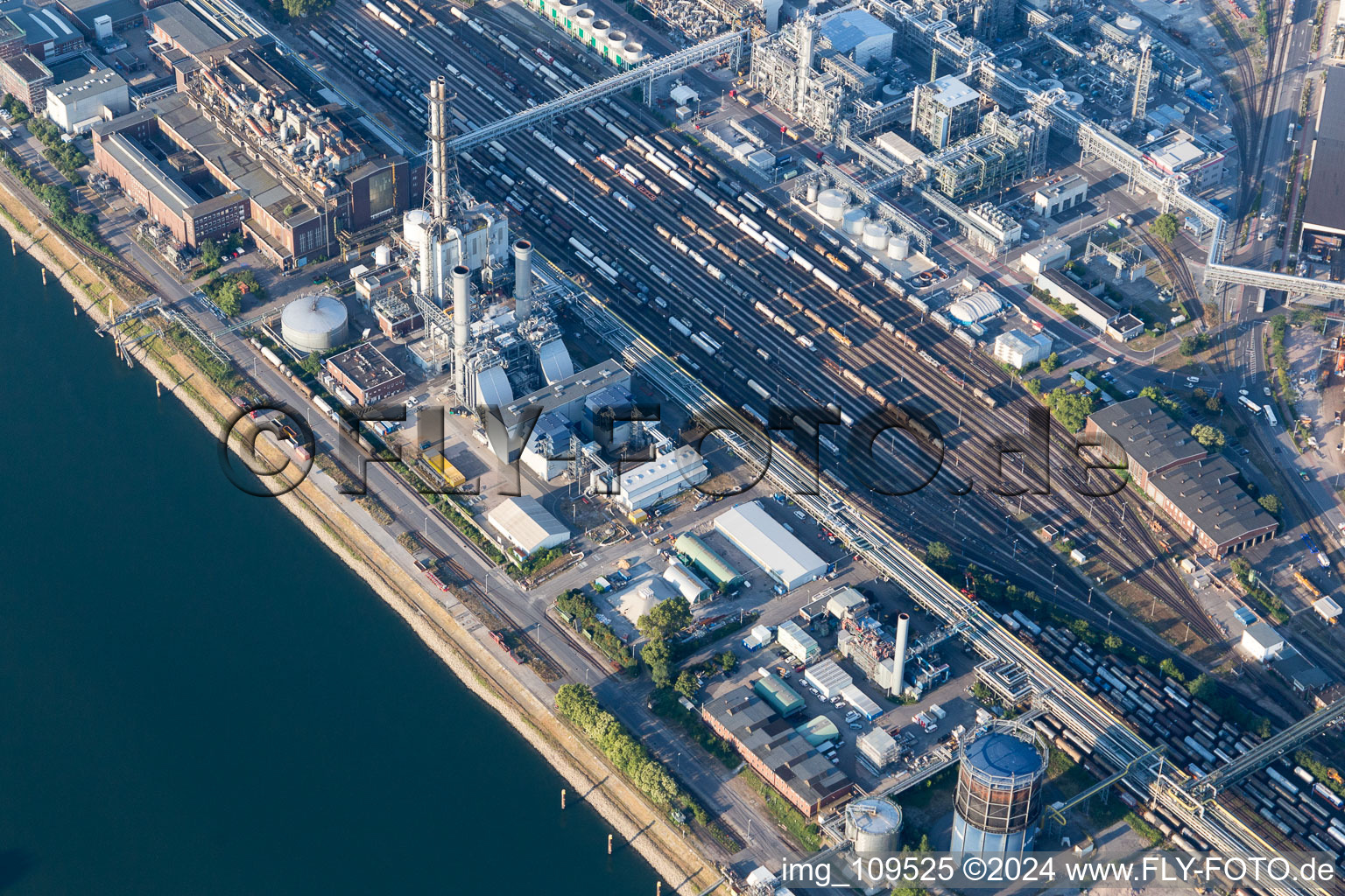 Vue oblique de Quartier BASF in Ludwigshafen am Rhein dans le département Rhénanie-Palatinat, Allemagne