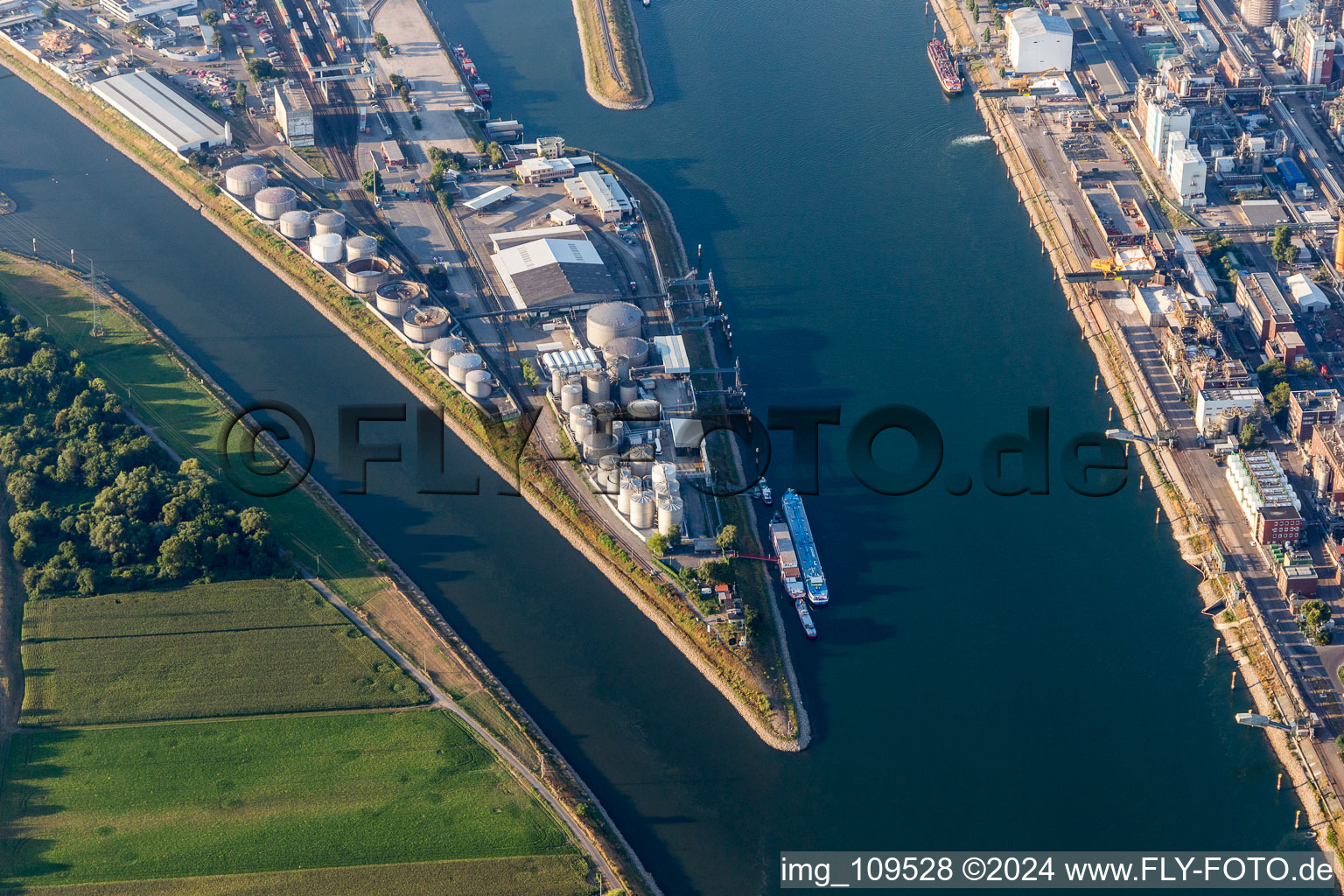 Vue aérienne de Neckarspitze Mühlauhafen à le quartier Innenstadt in Mannheim dans le département Bade-Wurtemberg, Allemagne