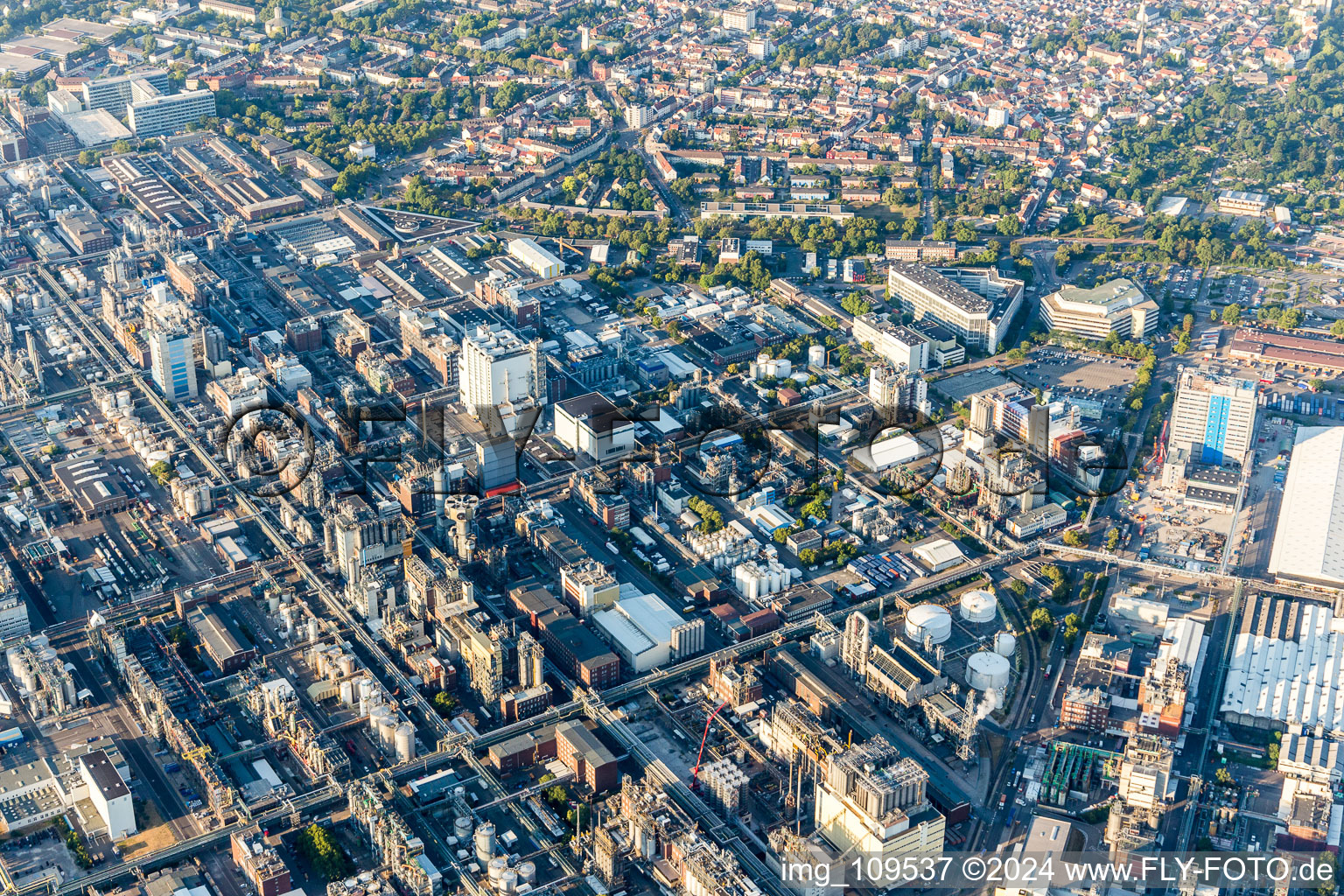 Image drone de Quartier BASF in Ludwigshafen am Rhein dans le département Rhénanie-Palatinat, Allemagne