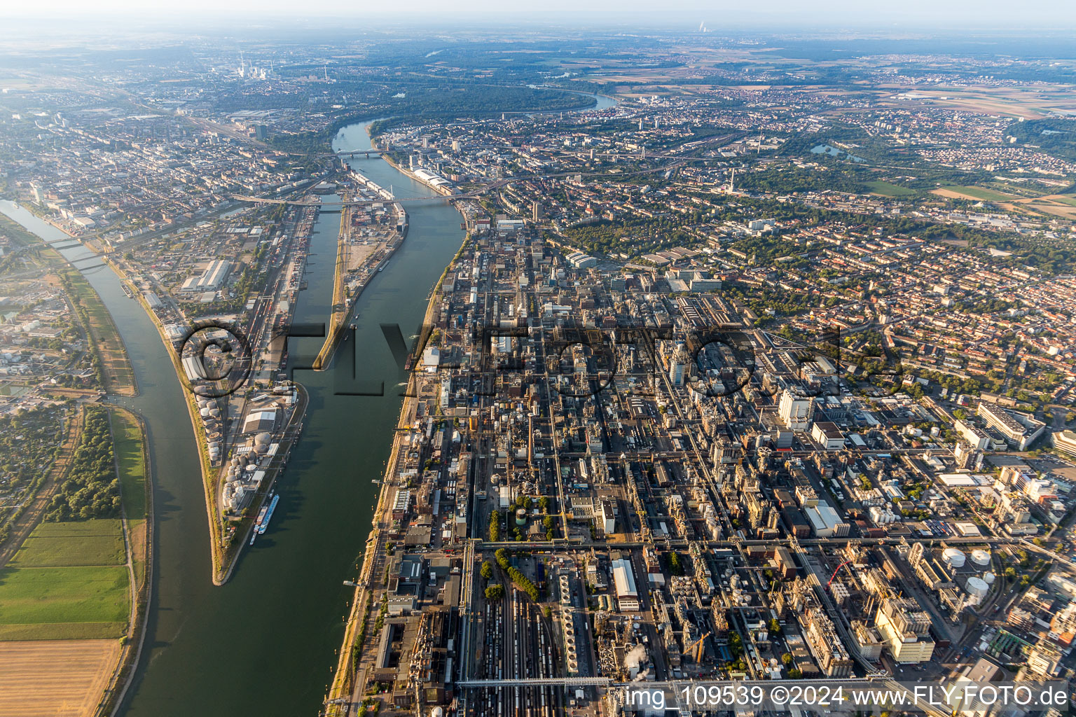 Vue aérienne de Locaux de l'usine du producteur chimique BASF sur le Rhin à le quartier BASF in Ludwigshafen am Rhein dans le département Rhénanie-Palatinat, Allemagne