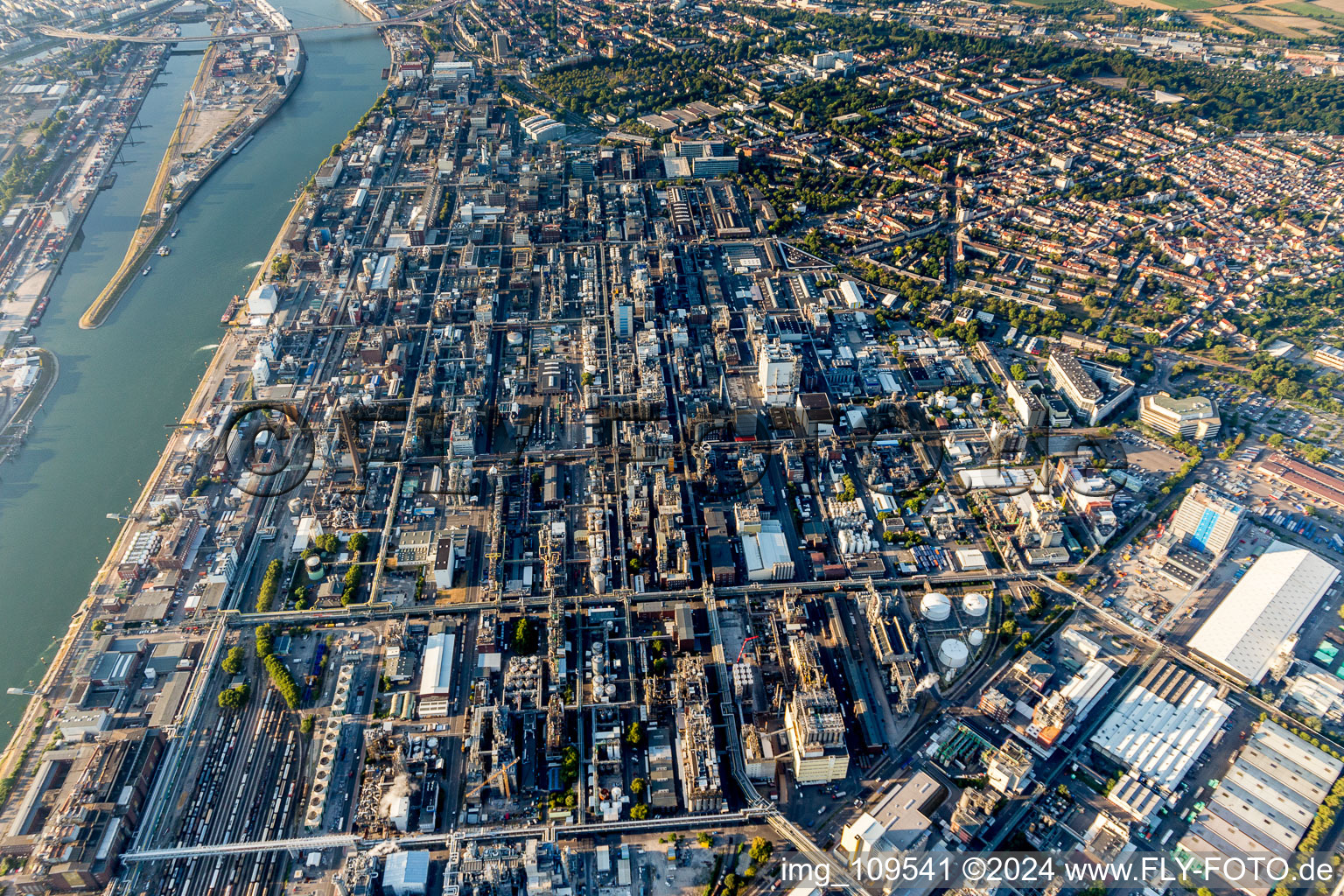 Vue aérienne de Locaux de l'usine du producteur chimique BASF entre le Rhin et le quartier de Friesenheim à le quartier BASF in Ludwigshafen am Rhein dans le département Rhénanie-Palatinat, Allemagne