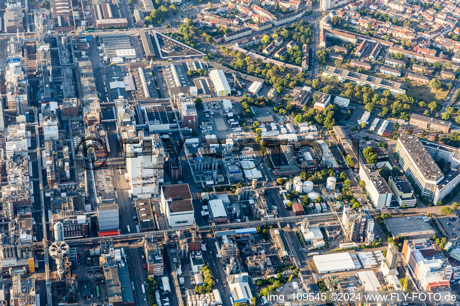 Vue oblique de Quartier BASF in Ludwigshafen am Rhein dans le département Rhénanie-Palatinat, Allemagne