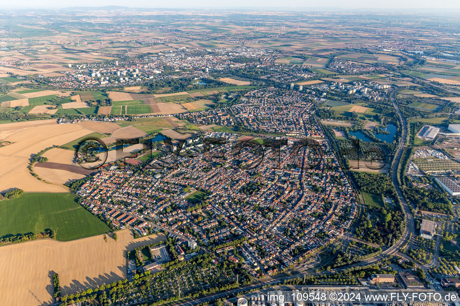 Vue aérienne de Vue de la commune en bordure des champs et zones agricoles en Oppau à le quartier Oppau in Ludwigshafen am Rhein dans le département Rhénanie-Palatinat, Allemagne