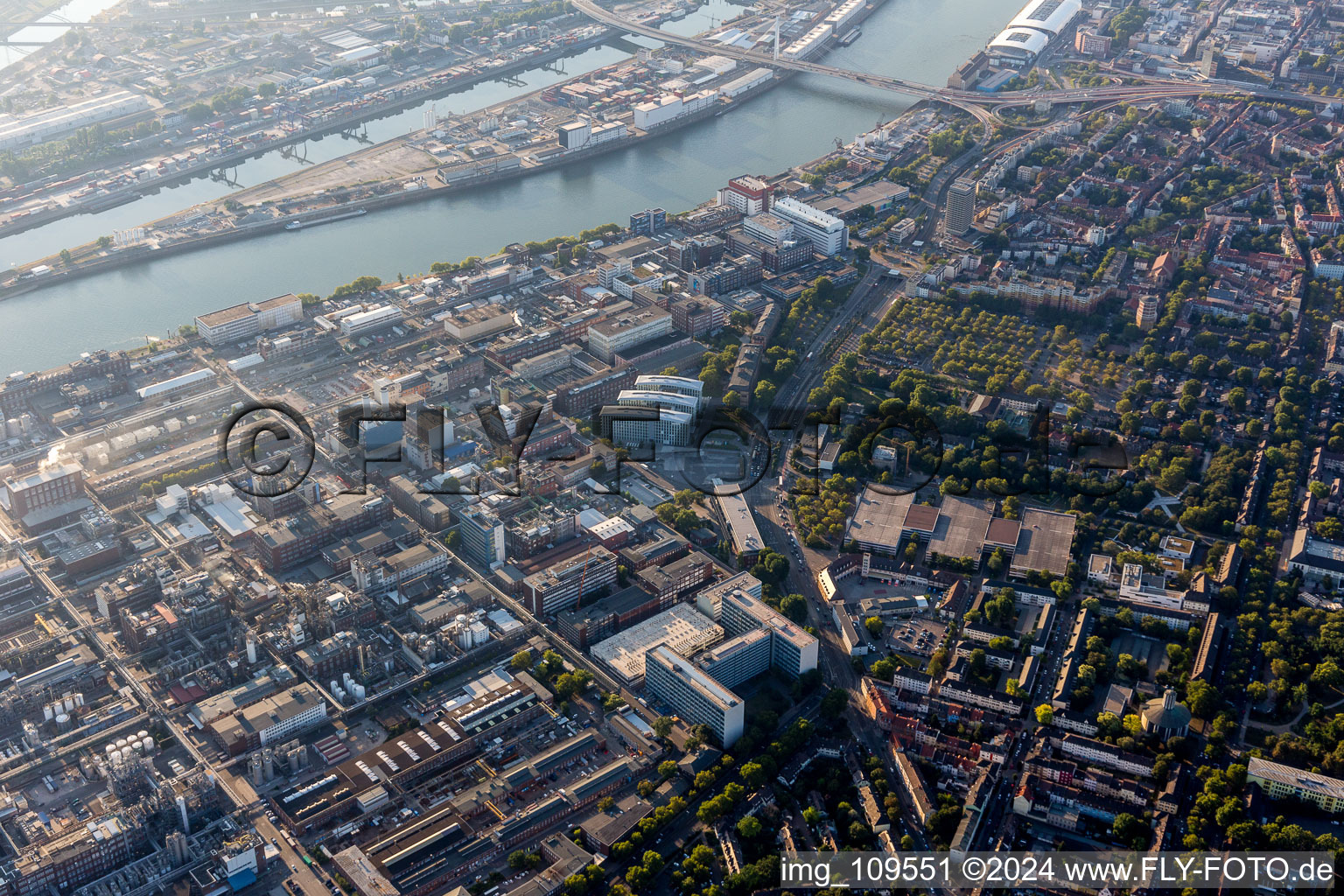 Vue oblique de Quartier Mitte in Ludwigshafen am Rhein dans le département Rhénanie-Palatinat, Allemagne