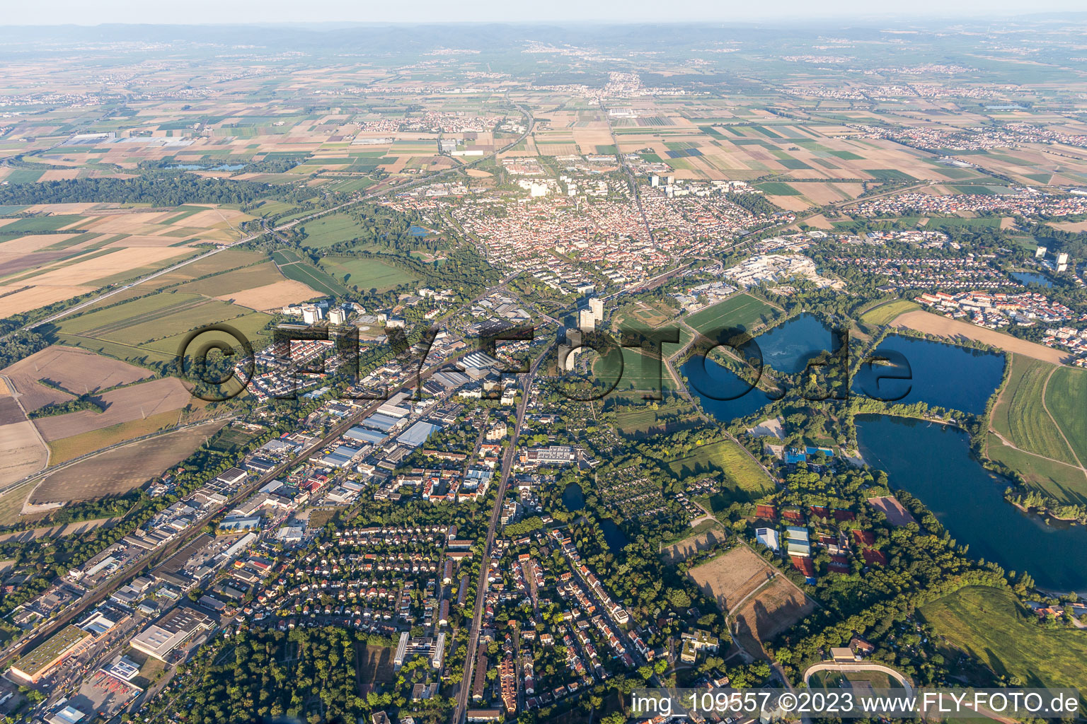 Vue aérienne de Rue Stern à le quartier Friesenheim in Ludwigshafen am Rhein dans le département Rhénanie-Palatinat, Allemagne