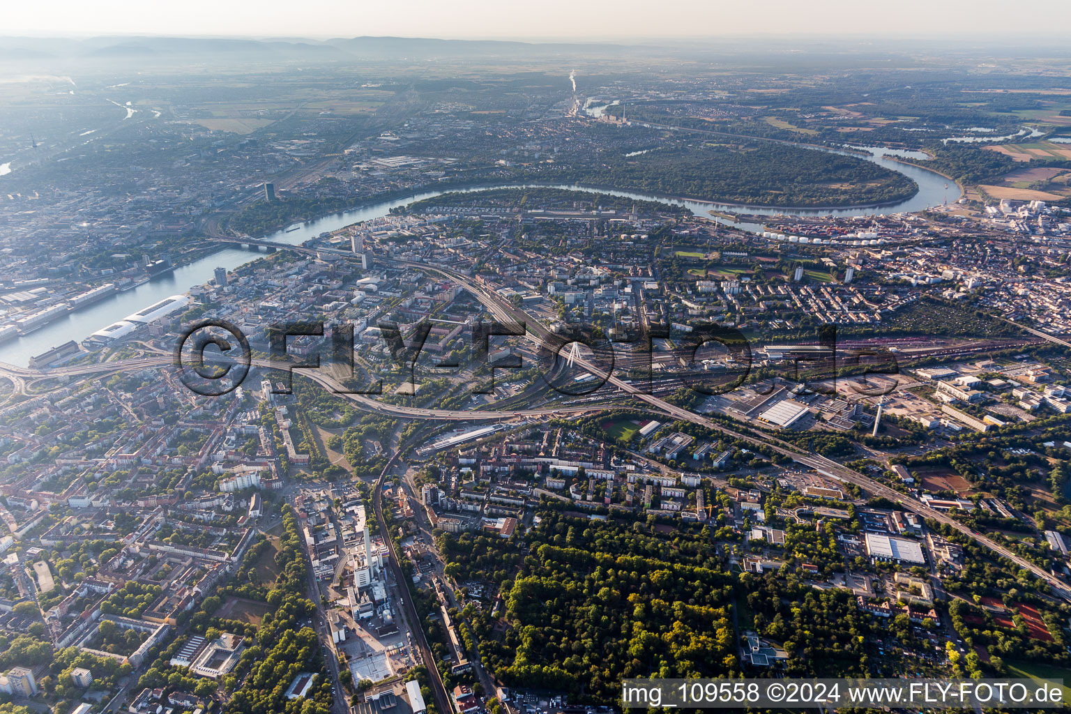 Vue aérienne de Zone urbaine et centre-ville et routes surélevées à le quartier Süd in Ludwigshafen am Rhein dans le département Rhénanie-Palatinat, Allemagne