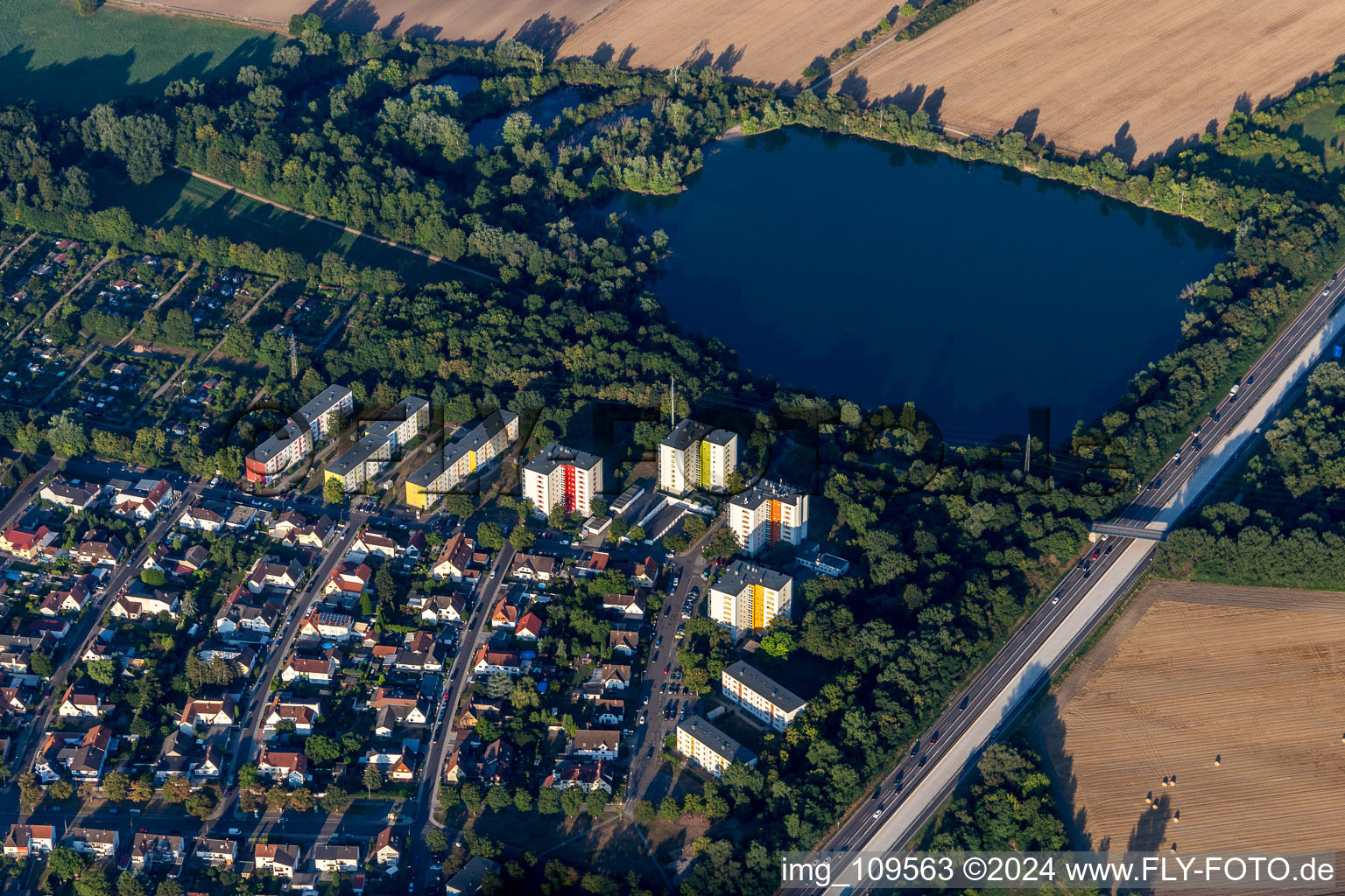 Vue aérienne de Étang Holzscher à le quartier Gartenstadt in Ludwigshafen am Rhein dans le département Rhénanie-Palatinat, Allemagne