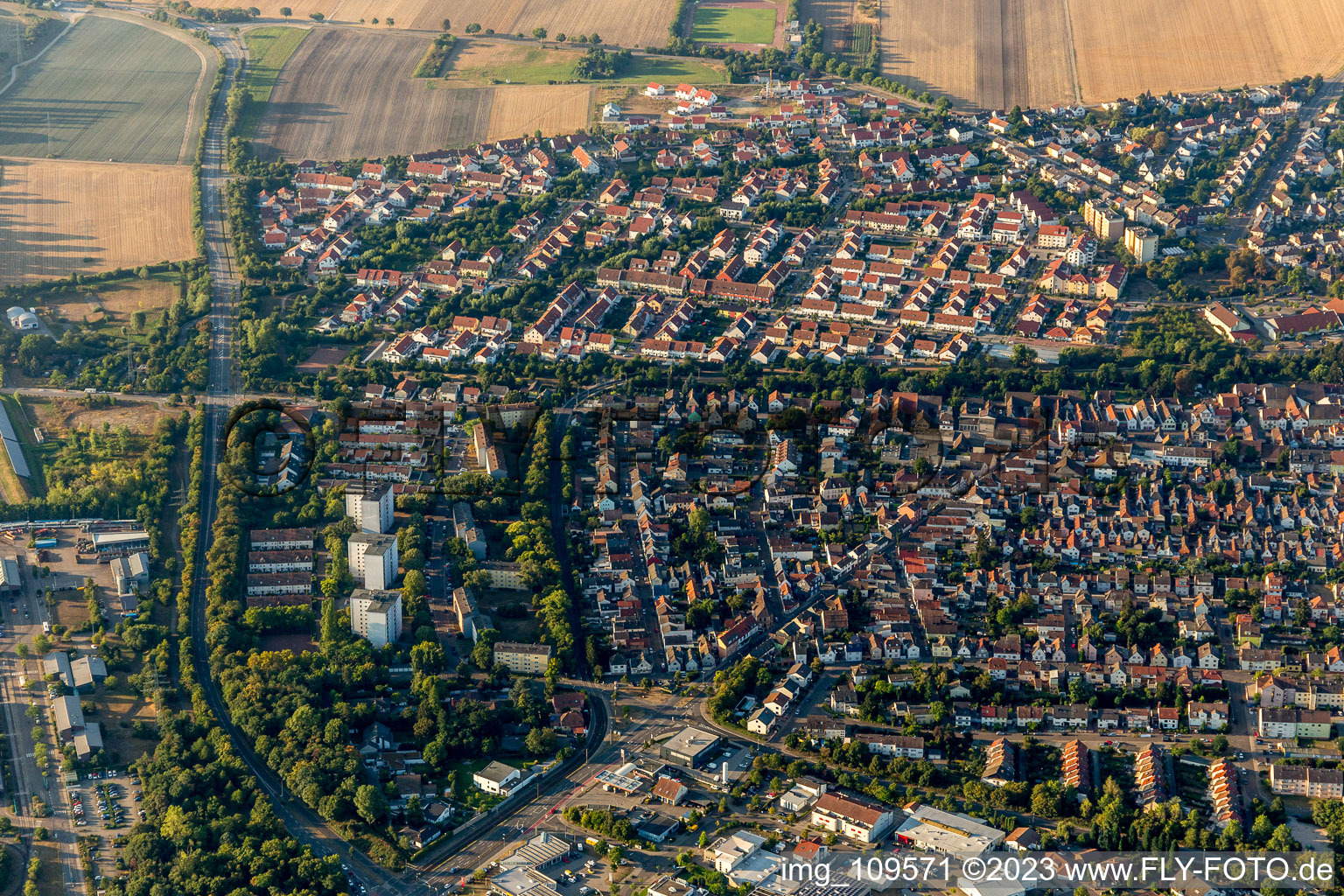 Quartier Gartenstadt in Ludwigshafen am Rhein dans le département Rhénanie-Palatinat, Allemagne hors des airs