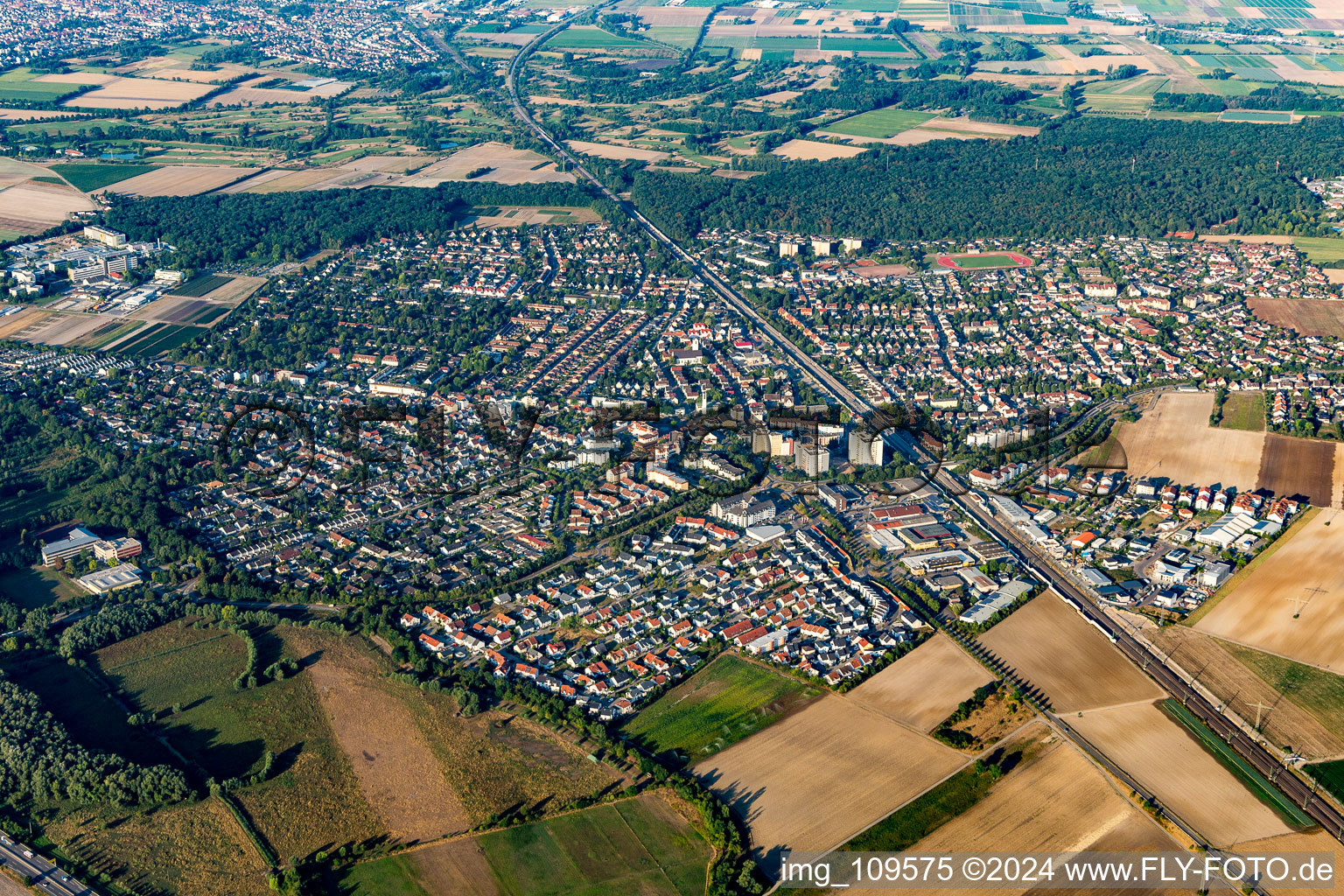 Photographie aérienne de Limburgerhof dans le département Rhénanie-Palatinat, Allemagne