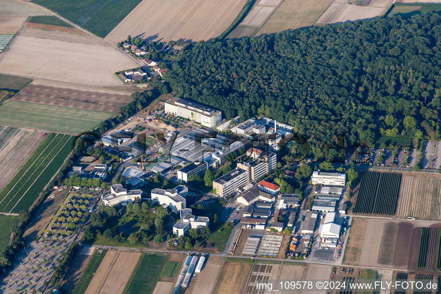 Vue aérienne de Centre agricole BASF à Limburgerhof dans le département Rhénanie-Palatinat, Allemagne