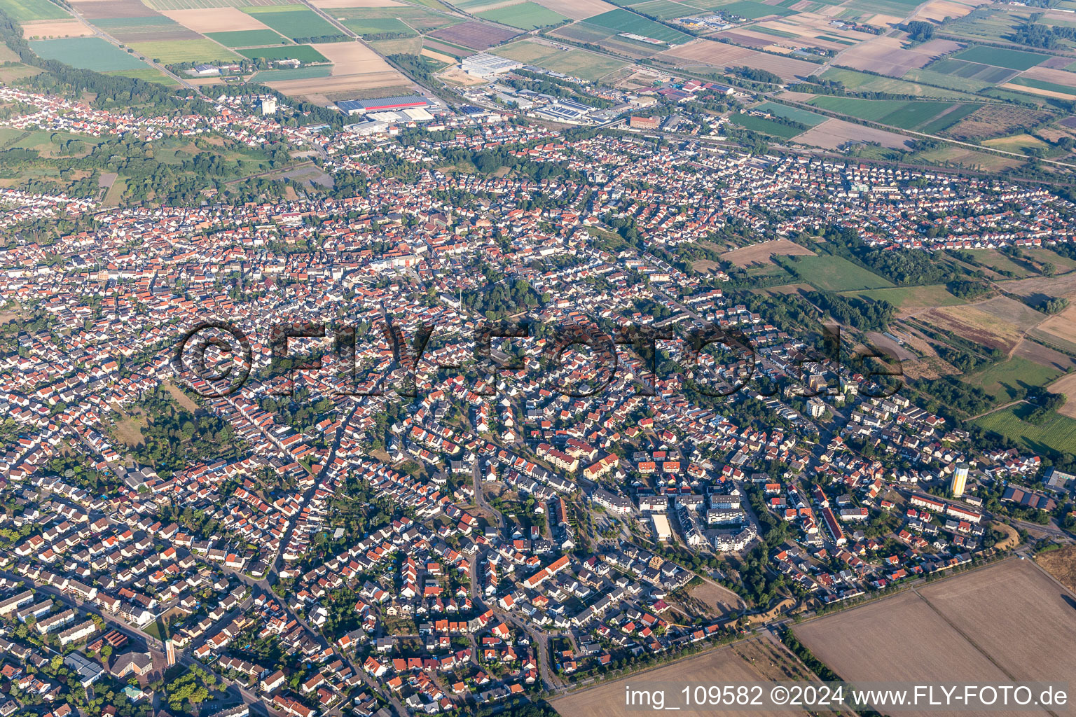 Vue d'oiseau de Schifferstadt dans le département Rhénanie-Palatinat, Allemagne