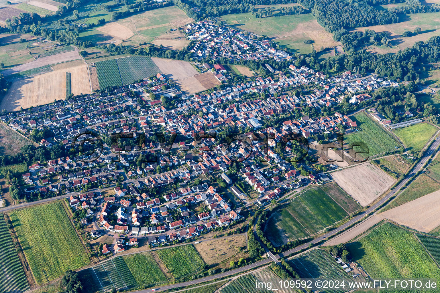 Vue oblique de Hanhofen dans le département Rhénanie-Palatinat, Allemagne