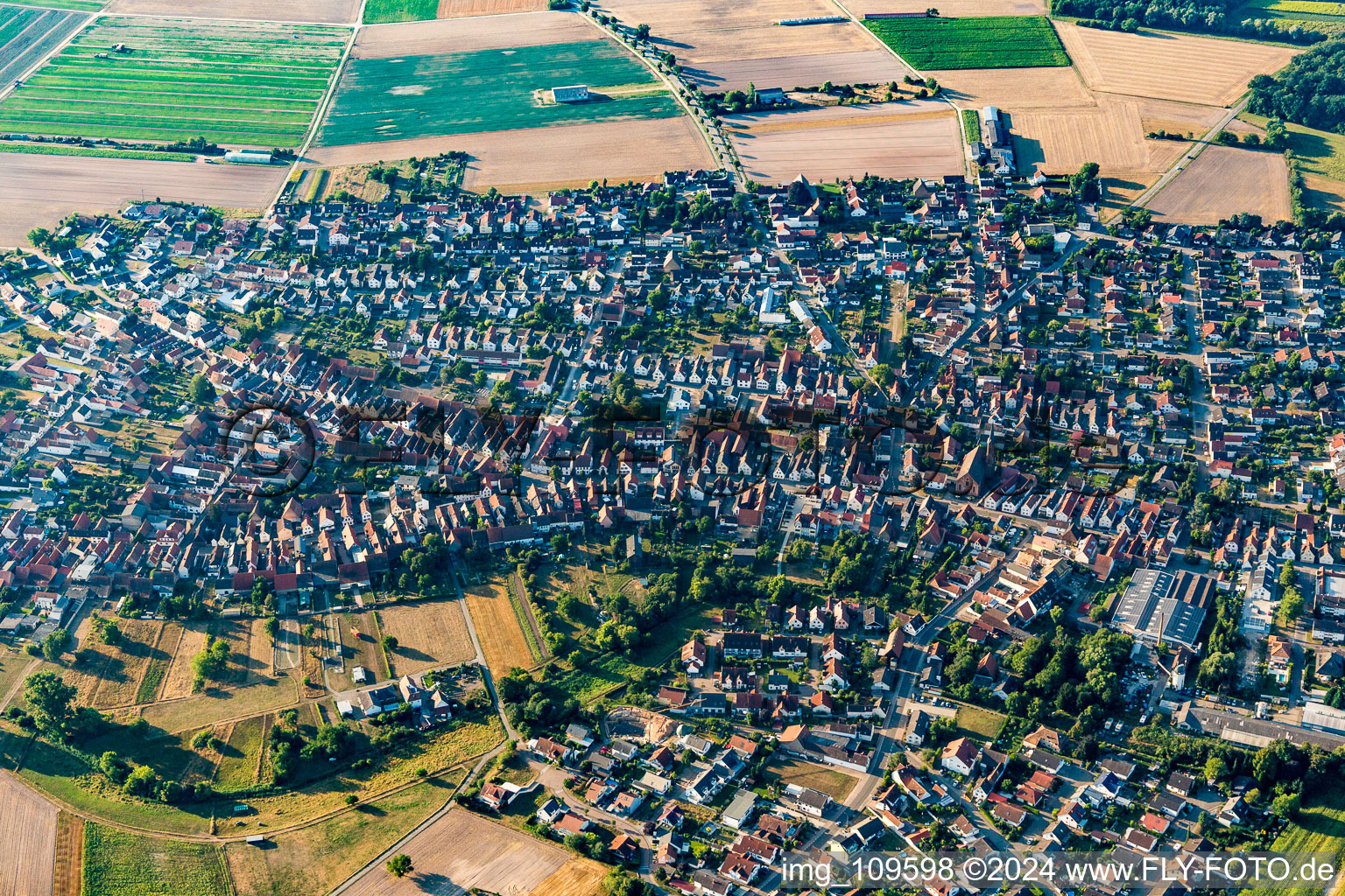 Vue aérienne de Vue sur la commune en bordure de champs agricoles et de zones agricoles à Harthausen dans le département Rhénanie-Palatinat, Allemagne