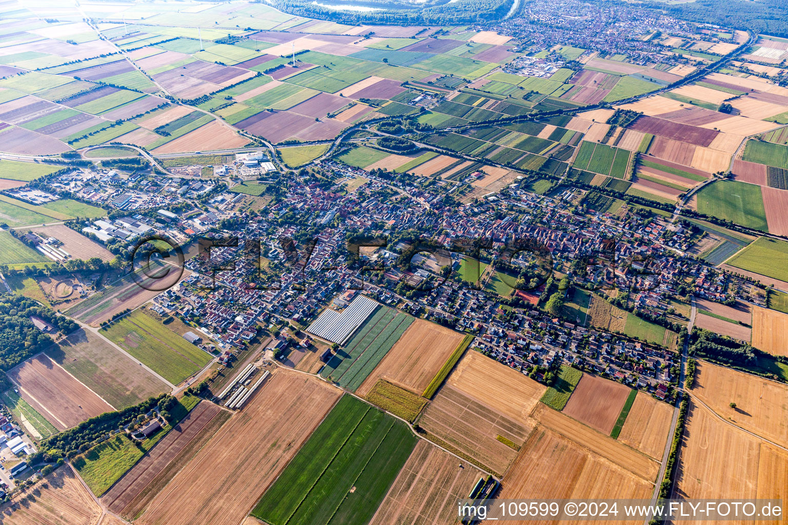 Vue d'oiseau de Schwegenheim dans le département Rhénanie-Palatinat, Allemagne