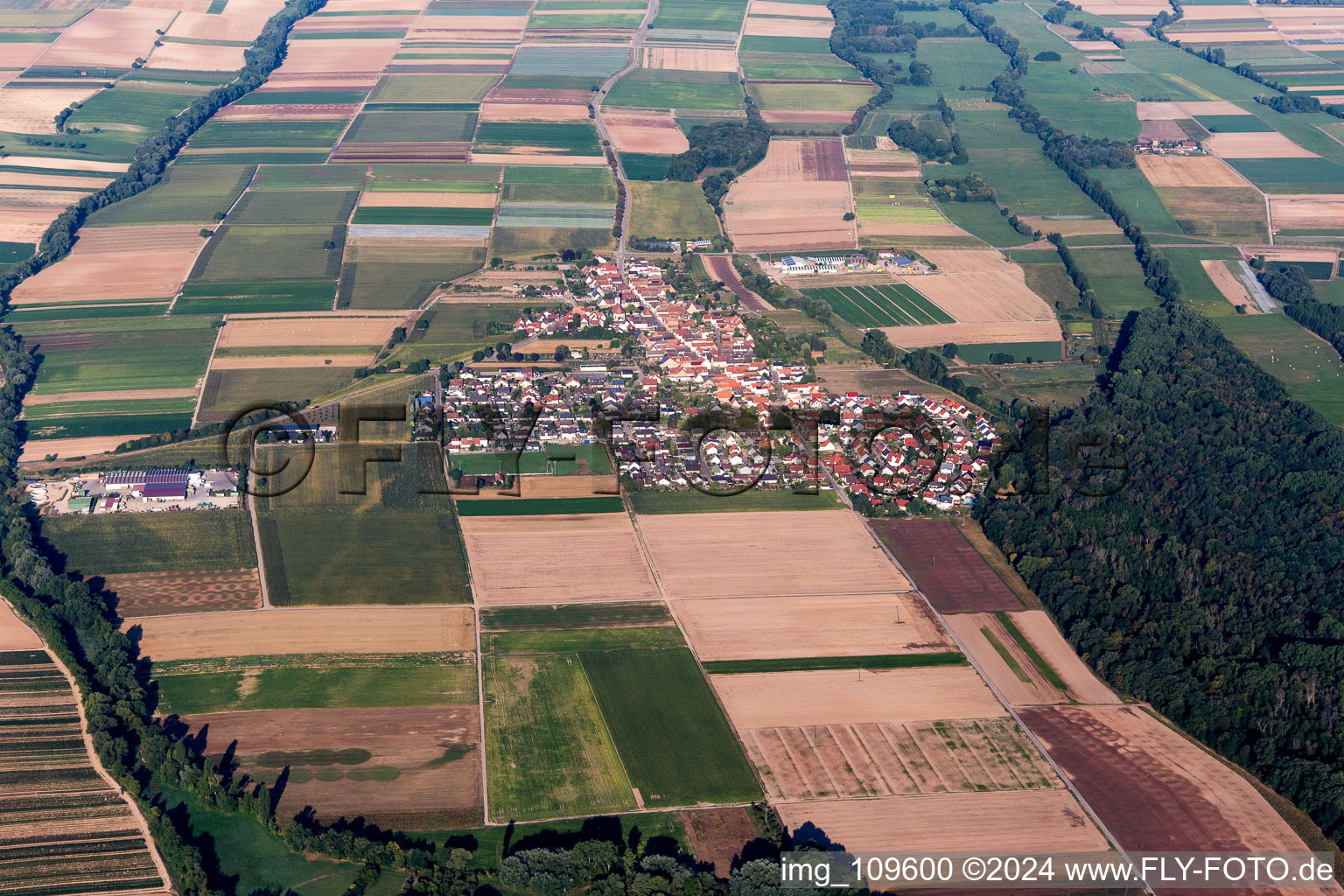 Freisbach dans le département Rhénanie-Palatinat, Allemagne depuis l'avion