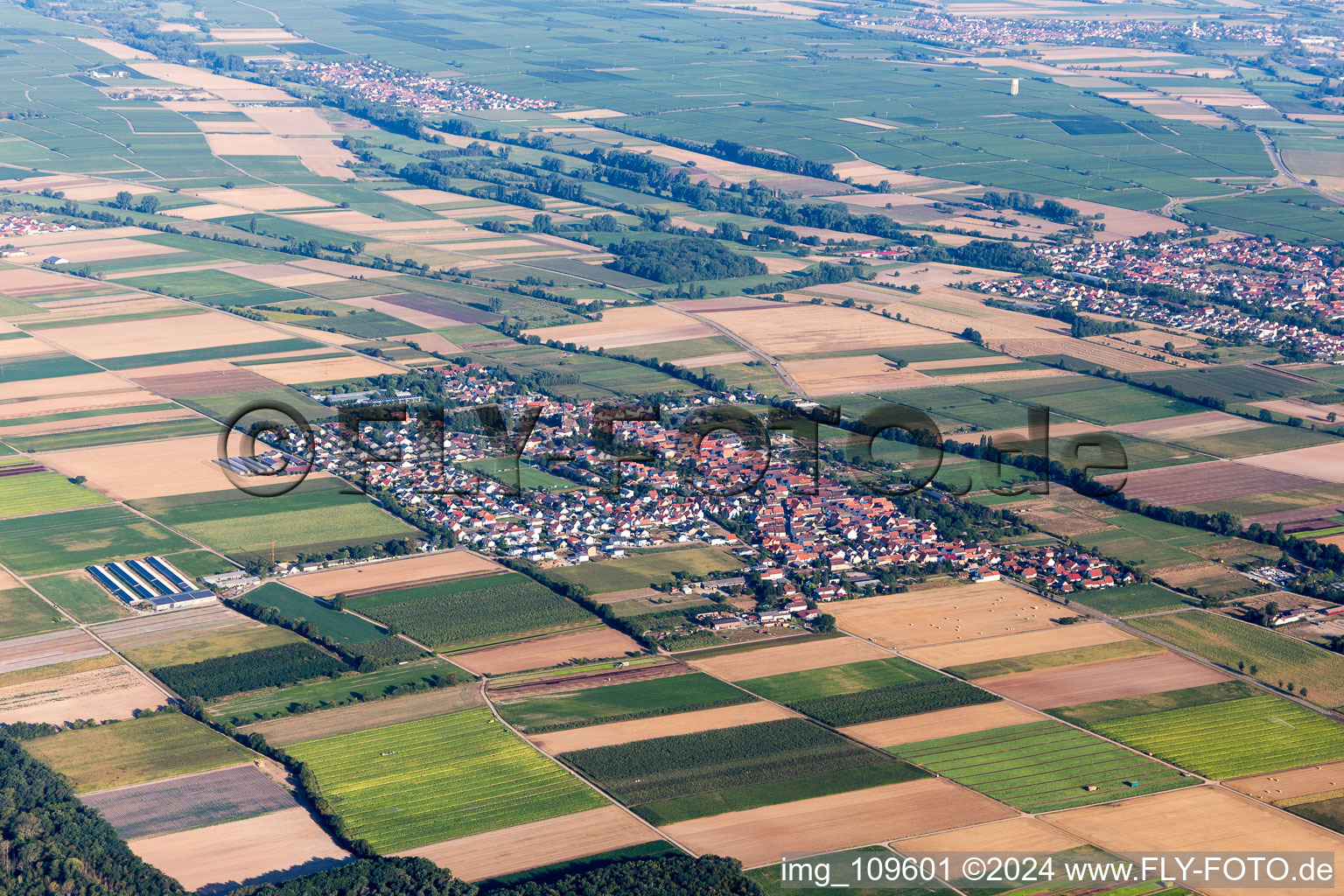 Vue d'oiseau de Gommersheim dans le département Rhénanie-Palatinat, Allemagne