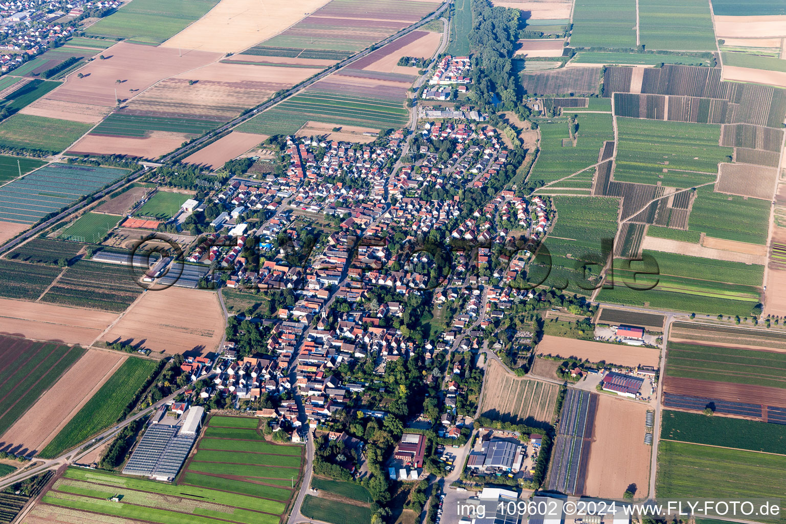 Vue aérienne de (Palatinat) à Weingarten dans le département Rhénanie-Palatinat, Allemagne