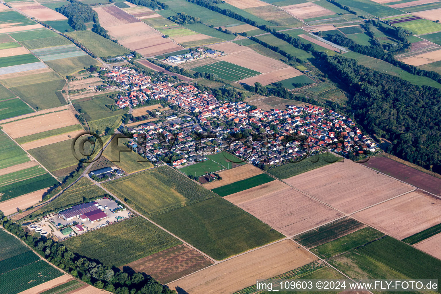 Vue aérienne de Champs agricoles et surfaces utilisables à Freisbach dans le département Rhénanie-Palatinat, Allemagne