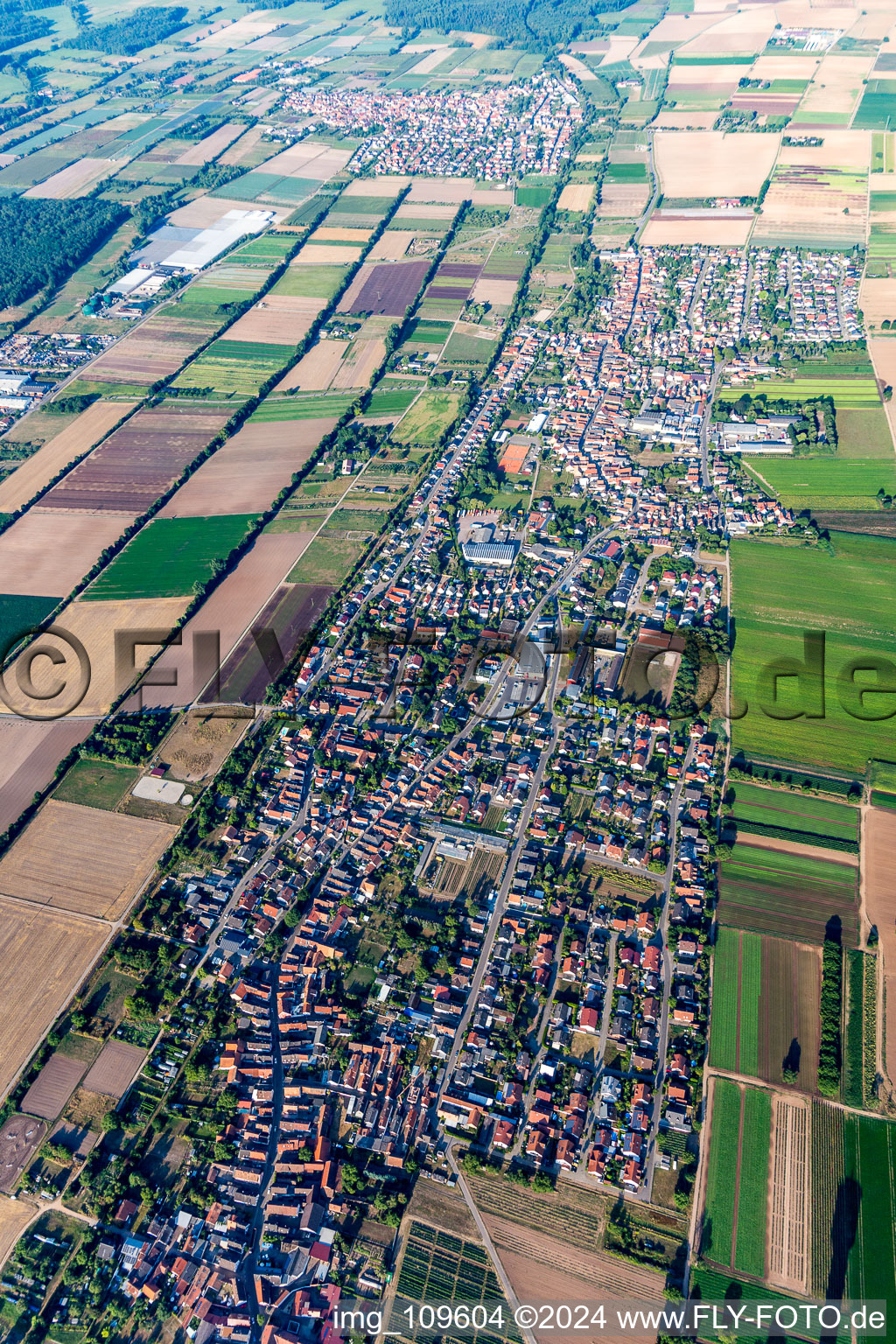 Vue aérienne de Vue sur la commune en bordure de champs agricoles et de zones agricoles à Lustadt dans le département Rhénanie-Palatinat, Allemagne