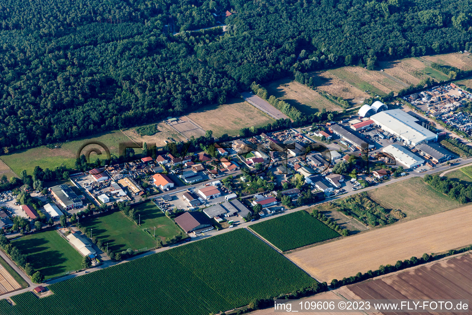 Vue aérienne de Niederlustadt dans le département Rhénanie-Palatinat, Allemagne