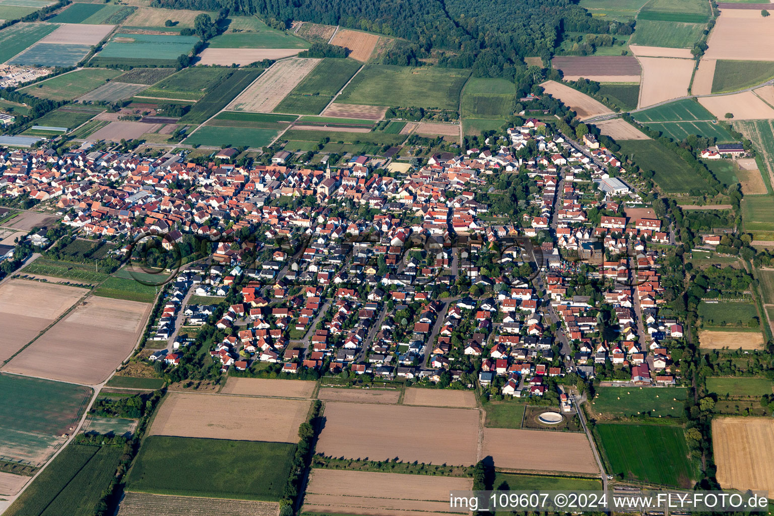Vue aérienne de Vue sur la commune en bordure de champs agricoles et de zones agricoles à Zeiskam dans le département Rhénanie-Palatinat, Allemagne