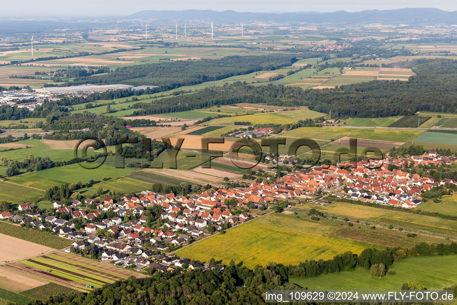 Vue aérienne de Du nord-est à Erlenbach bei Kandel dans le département Rhénanie-Palatinat, Allemagne