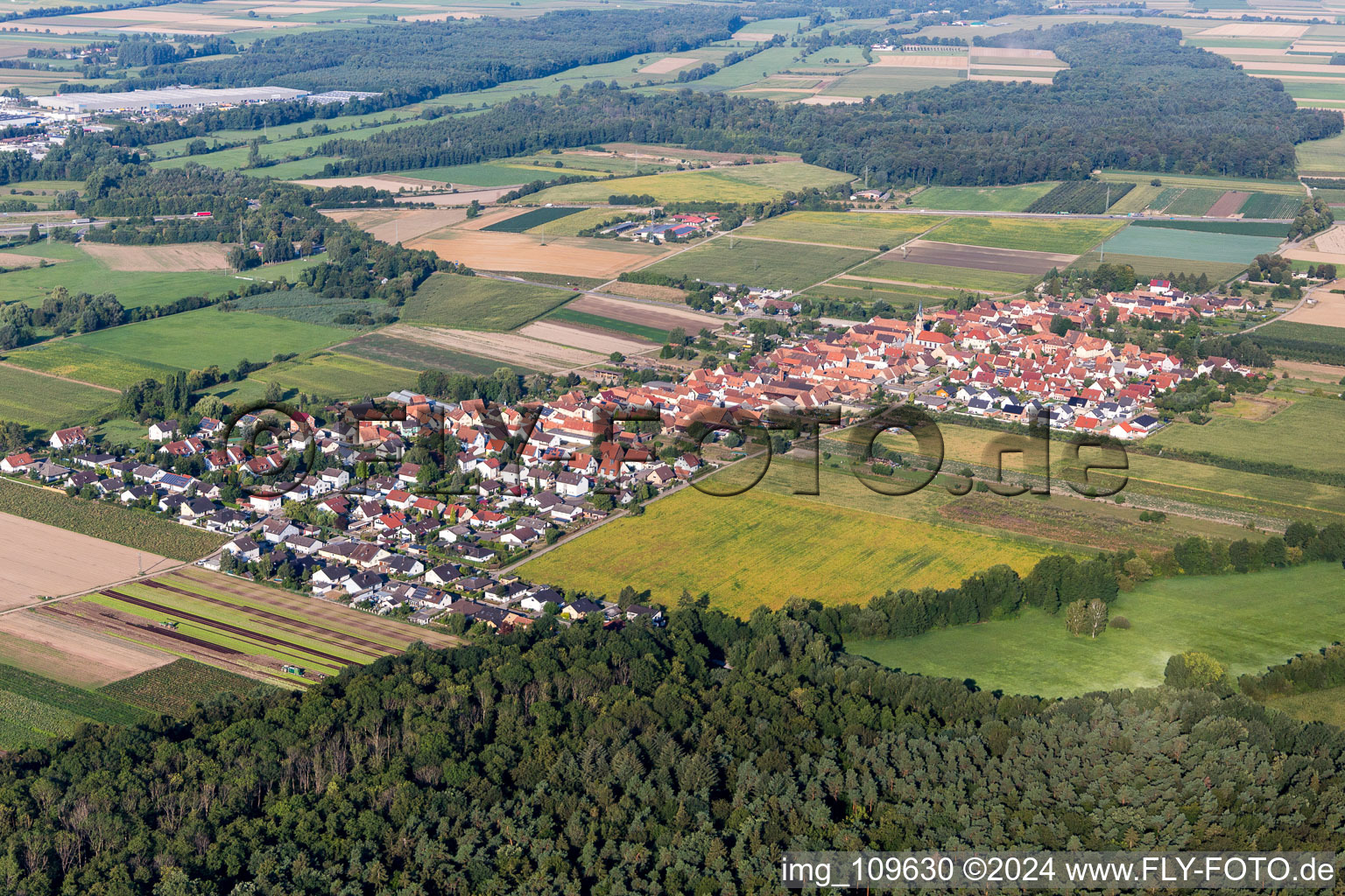 Vue aérienne de Du nord-est à Erlenbach bei Kandel dans le département Rhénanie-Palatinat, Allemagne