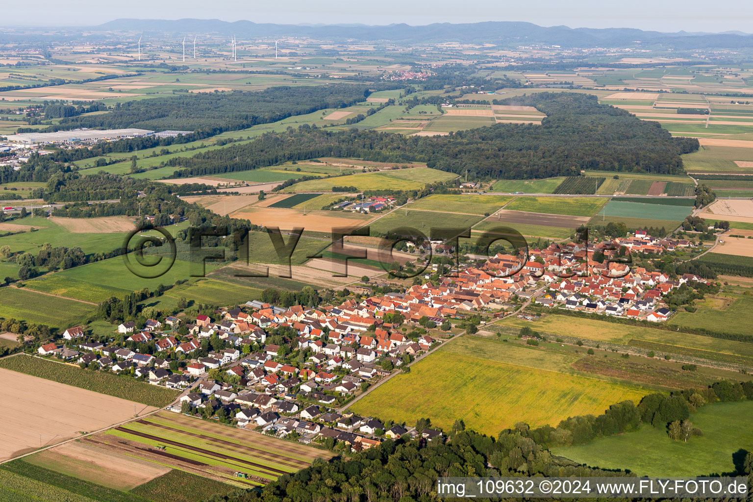 Photographie aérienne de Du nord-est à Erlenbach bei Kandel dans le département Rhénanie-Palatinat, Allemagne