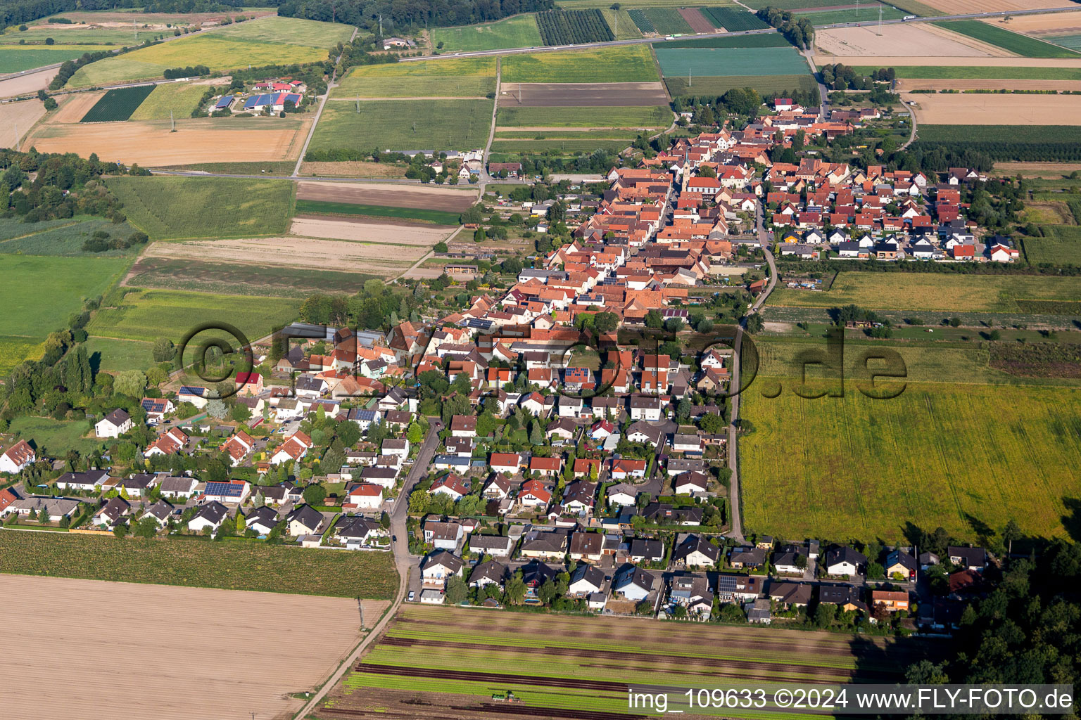 Vue oblique de Du nord-est à Erlenbach bei Kandel dans le département Rhénanie-Palatinat, Allemagne