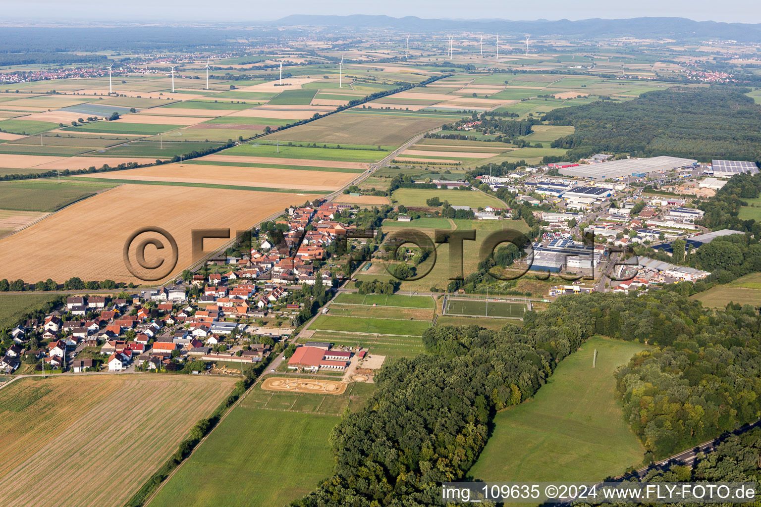 Vue d'oiseau de Quartier Minderslachen in Kandel dans le département Rhénanie-Palatinat, Allemagne