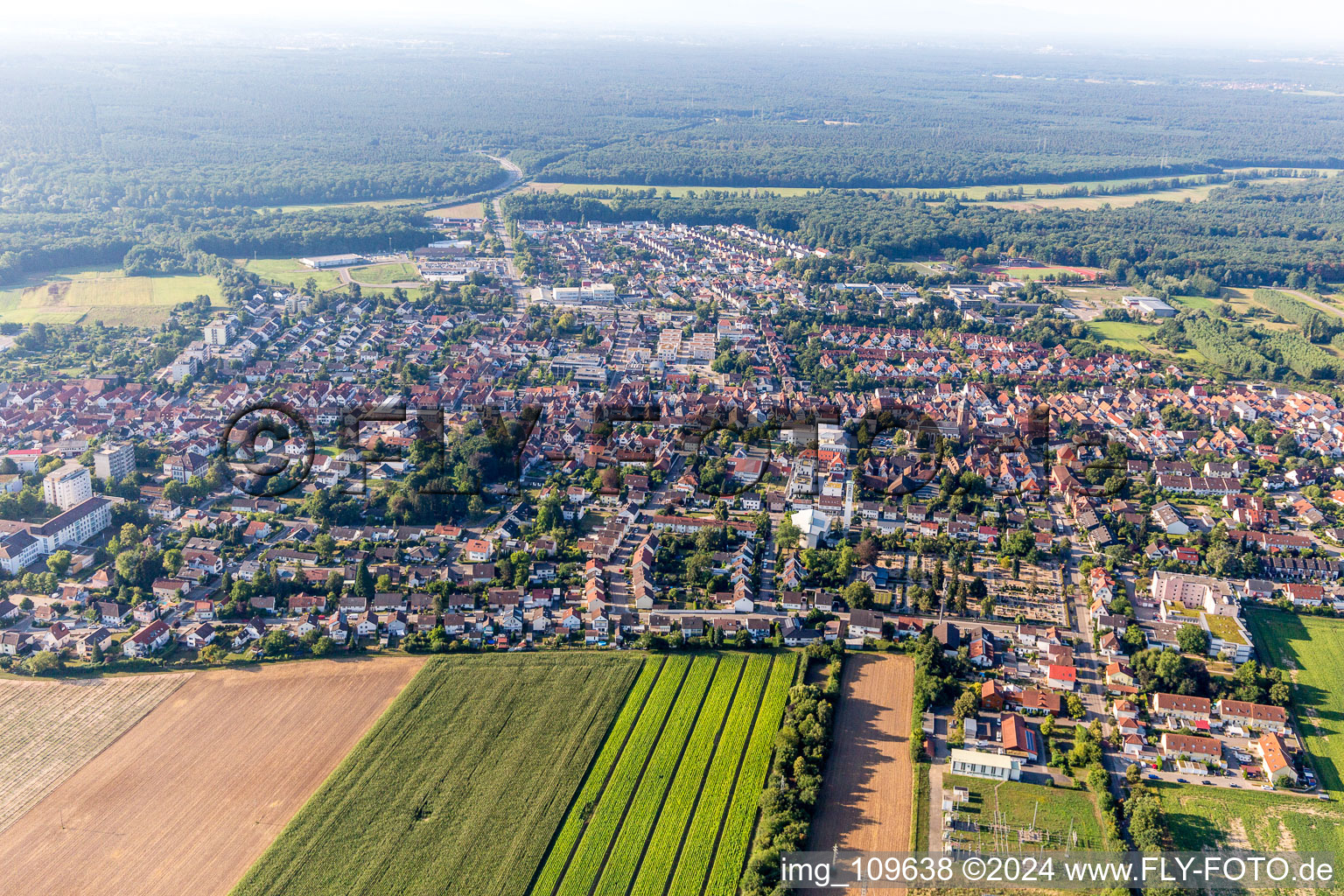 Photographie aérienne de Kandel dans le département Rhénanie-Palatinat, Allemagne