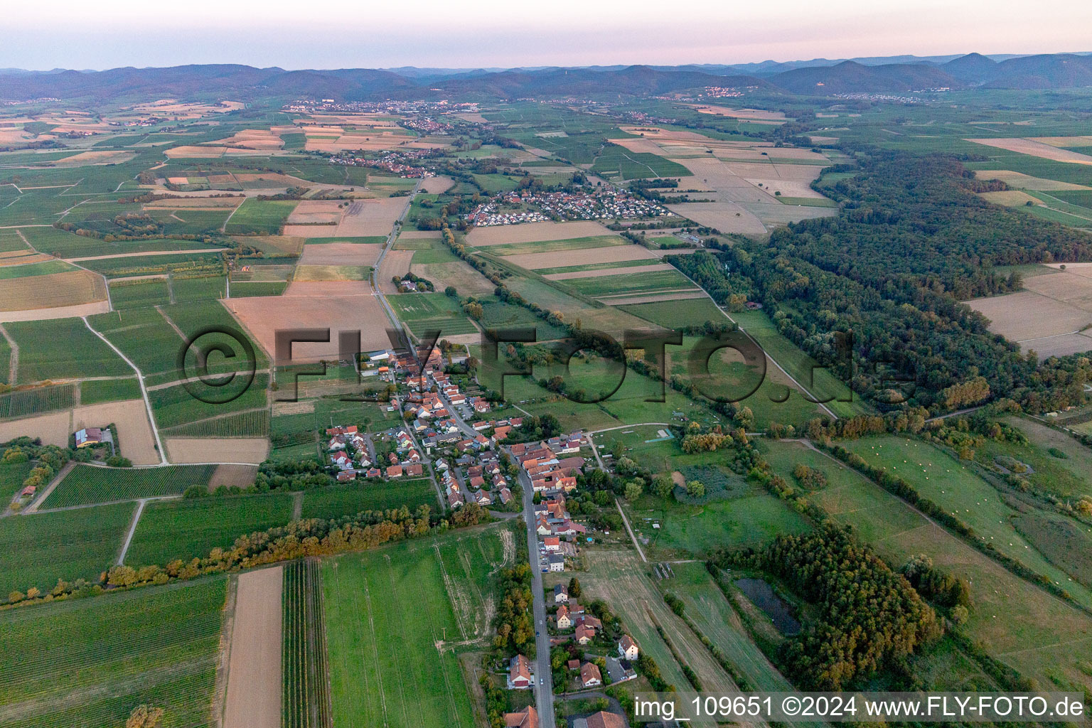 Vue d'oiseau de Hergersweiler dans le département Rhénanie-Palatinat, Allemagne