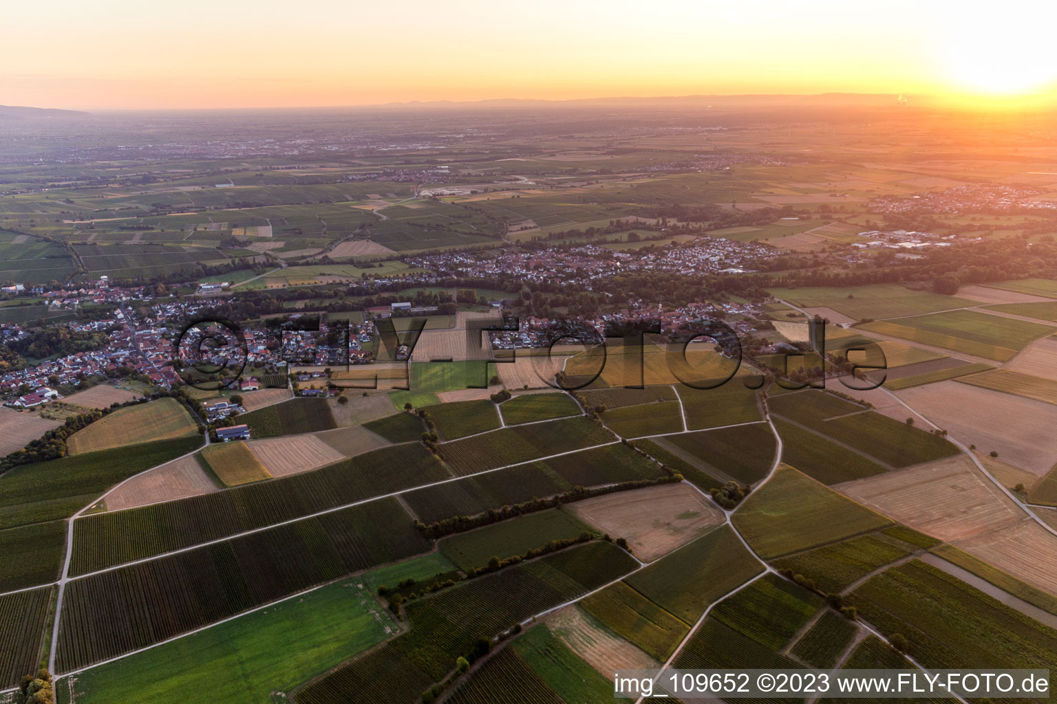 Image drone de Quartier Ingenheim in Billigheim-Ingenheim dans le département Rhénanie-Palatinat, Allemagne