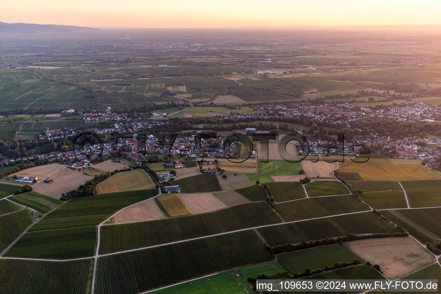 Enregistrement par drone de Quartier Billigheim in Billigheim-Ingenheim dans le département Rhénanie-Palatinat, Allemagne