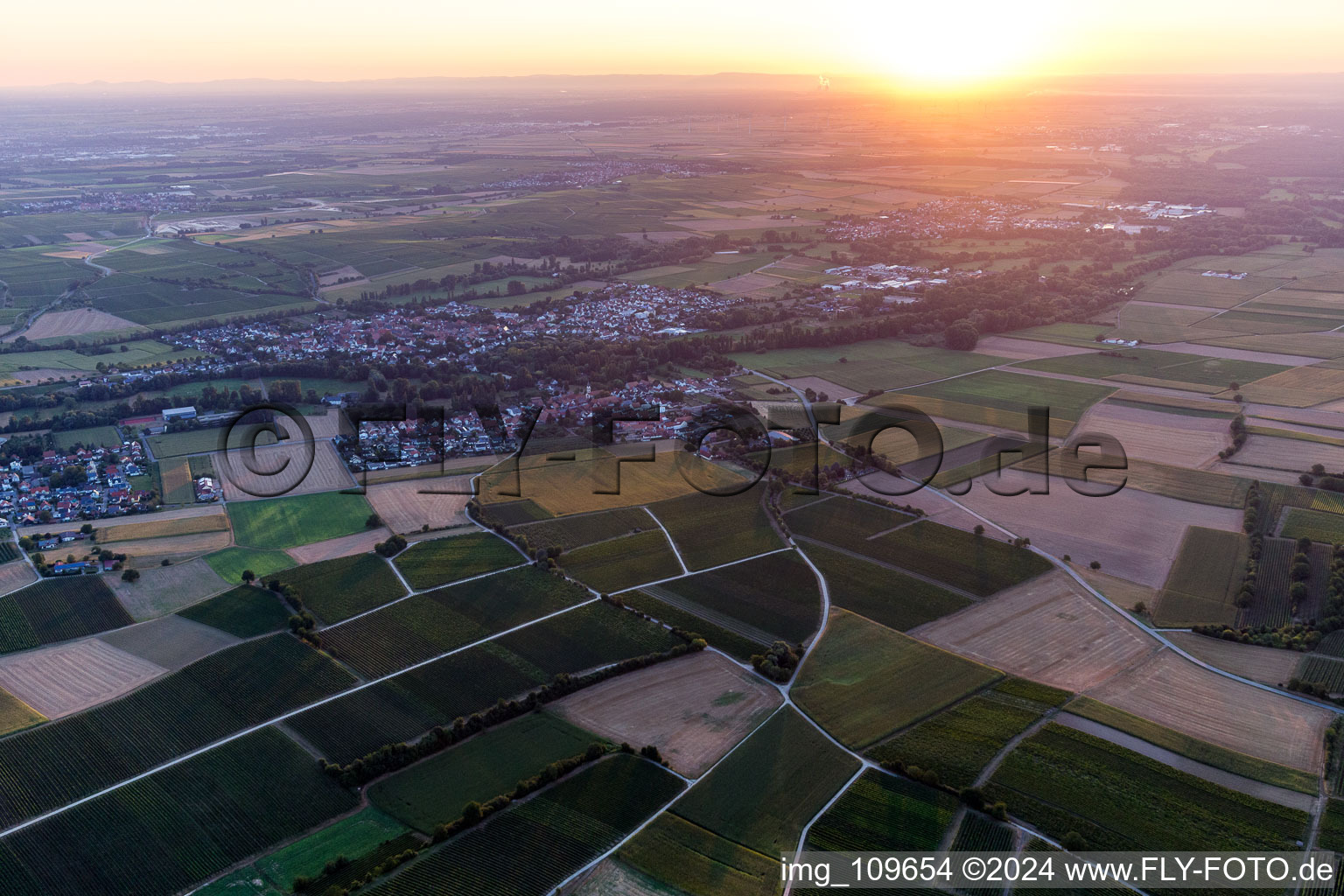 Image drone de Quartier Billigheim in Billigheim-Ingenheim dans le département Rhénanie-Palatinat, Allemagne