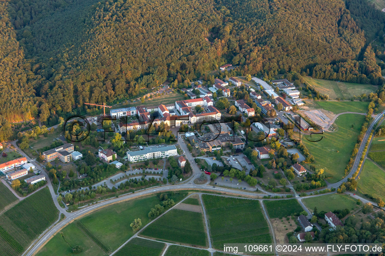 Vue aérienne de Clinique psychiatrique d'État à Klingenmünster dans le département Rhénanie-Palatinat, Allemagne