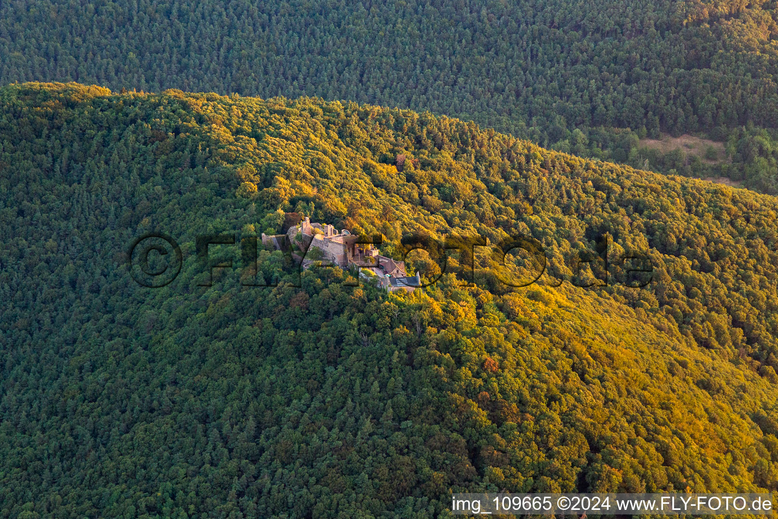 Vue aérienne de Ruines du château de Madenbourg à Eschbach dans le département Rhénanie-Palatinat, Allemagne