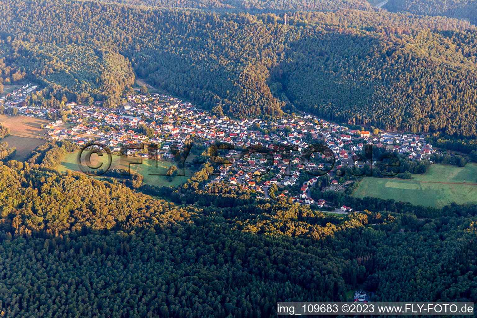 Vue aérienne de Ruppertsweiler dans le département Rhénanie-Palatinat, Allemagne
