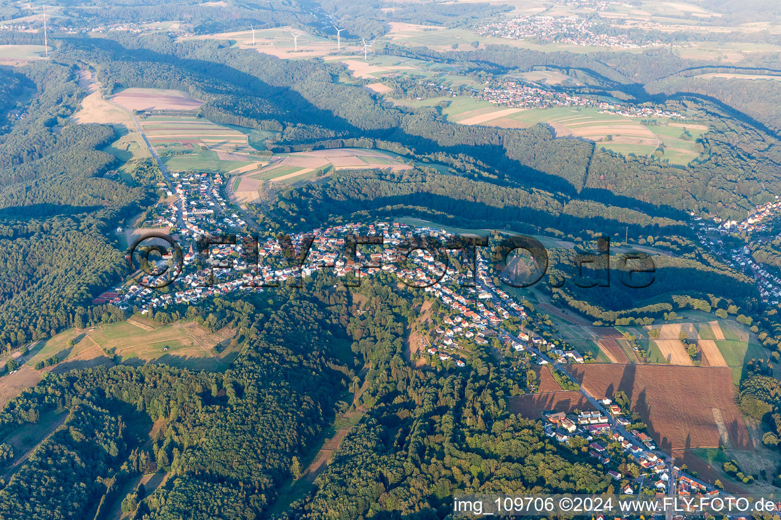 Vue aérienne de Du nord-est à le quartier Erlenbrunn in Pirmasens dans le département Rhénanie-Palatinat, Allemagne