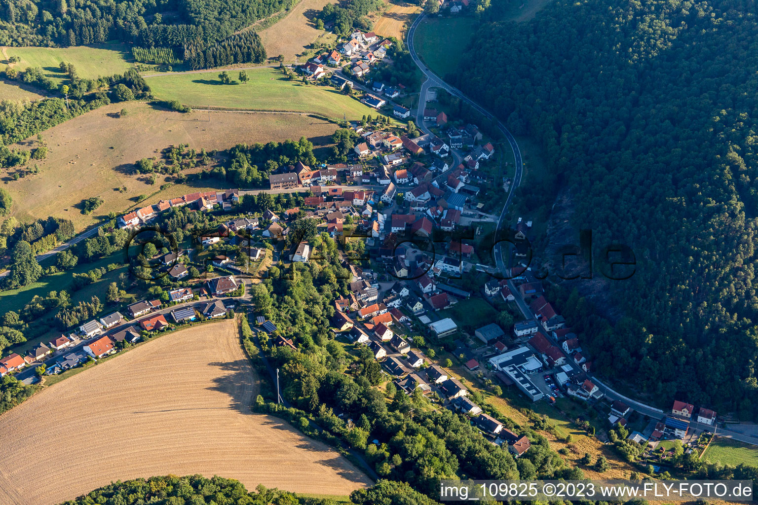 Vue aérienne de Gehrweiler dans le département Rhénanie-Palatinat, Allemagne